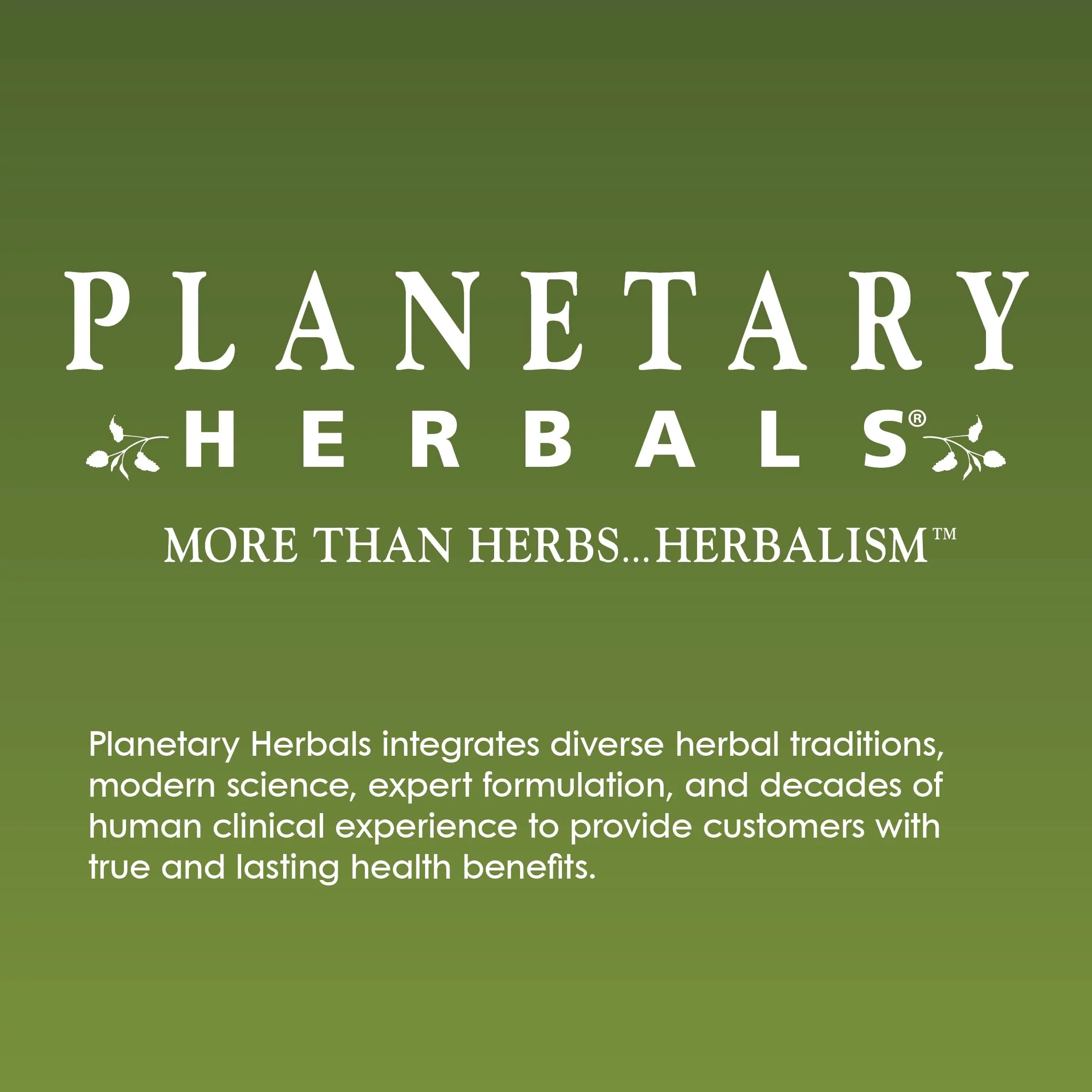 Planetary Herbals Triphala Internal Cleanser 1000mg for GI Tract Wellness - 180 Tablets - Image 2