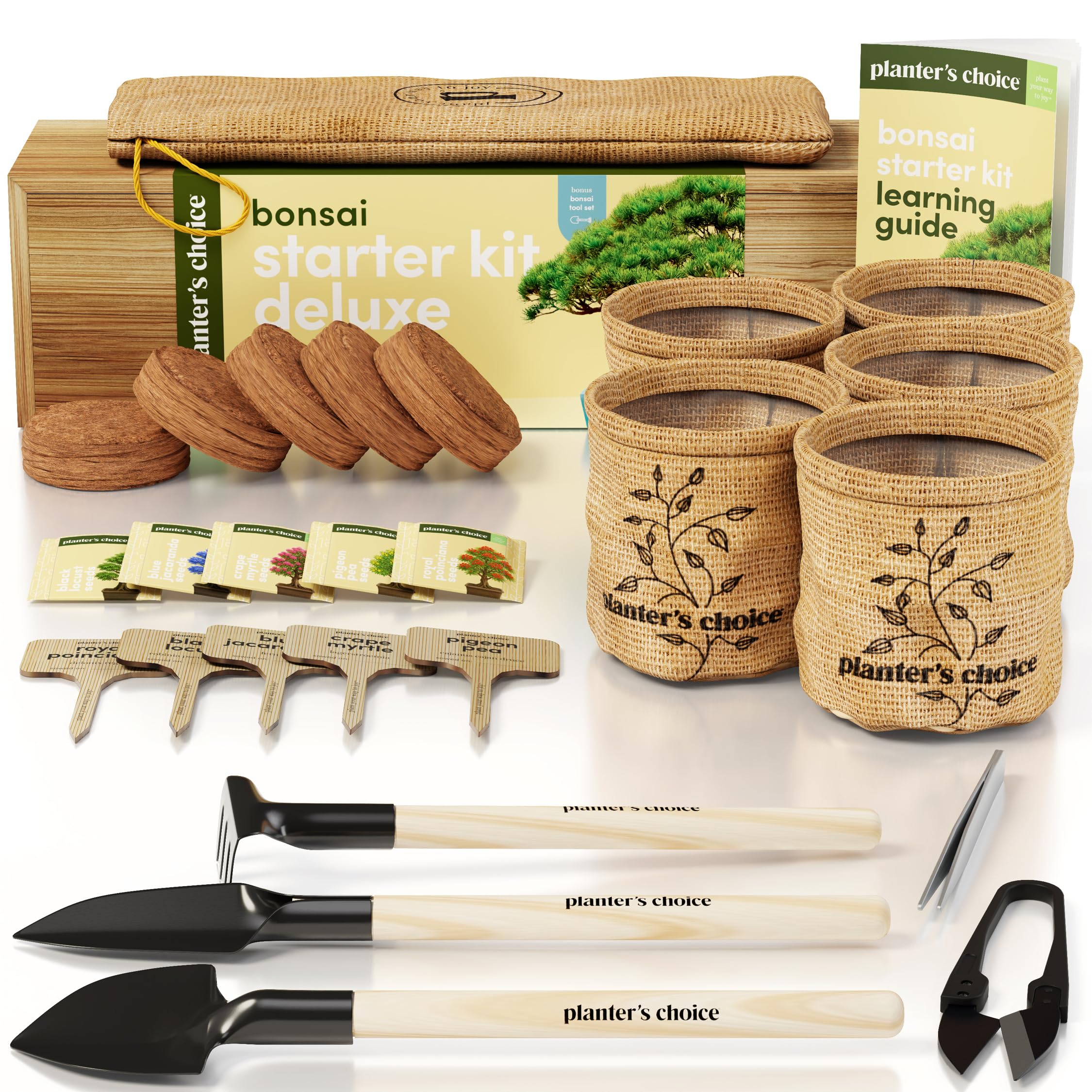 Planter's Choice Bonsai Tree Starter Kit - Unique Gifts for Women, Men - Christmas Gifts for Adults - Indoor Live House Plants - DIY Crafts for Adults Craft Kits - Hobby Gift for Gardening Lovers - Image 2