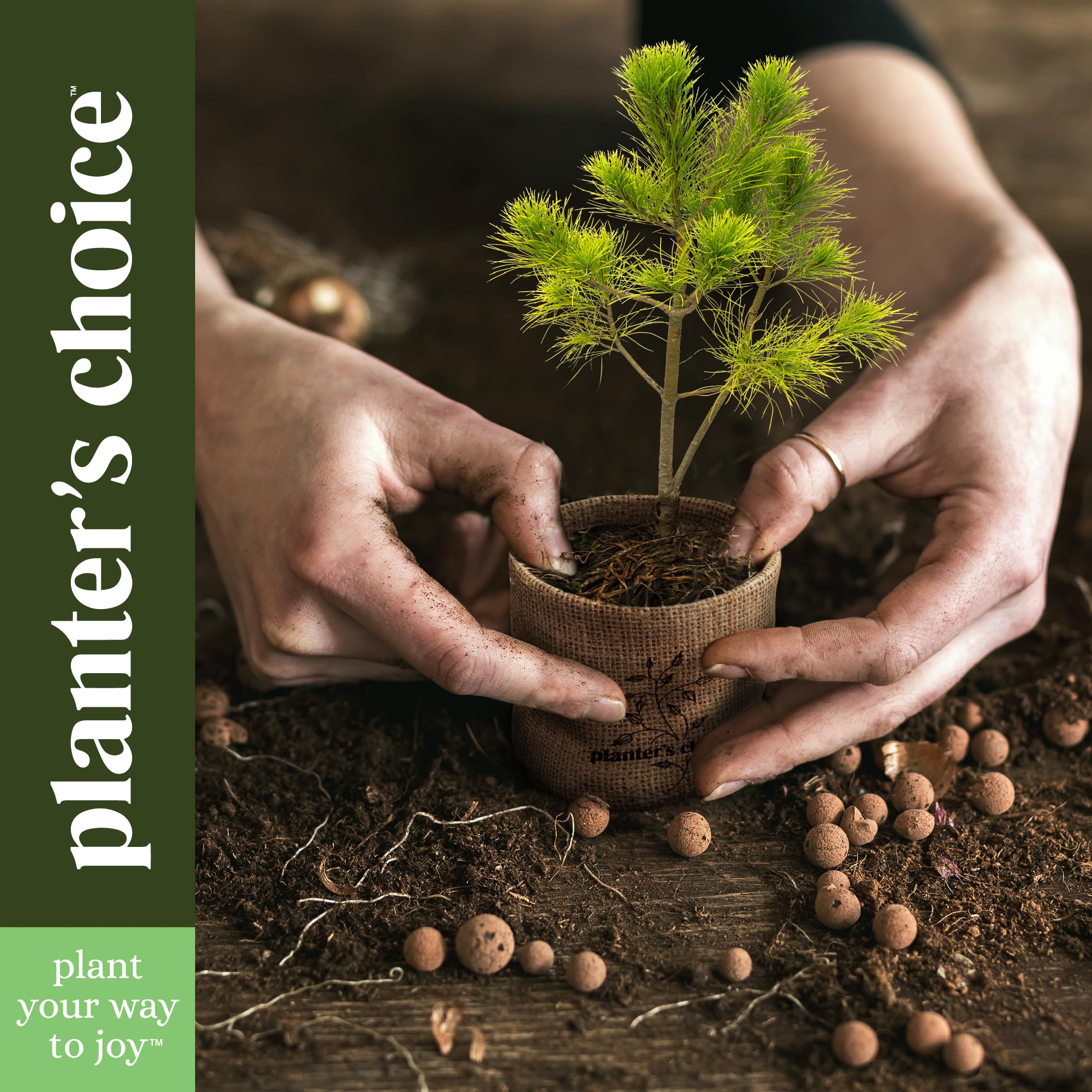 Planter's Choice Bonsai Tree Starter Kit - Unique Gifts for Women, Men - Christmas Gifts for Adults - Indoor Live House Plants - DIY Crafts for Adults Craft Kits - Hobby Gift for Gardening Lovers - Image 3