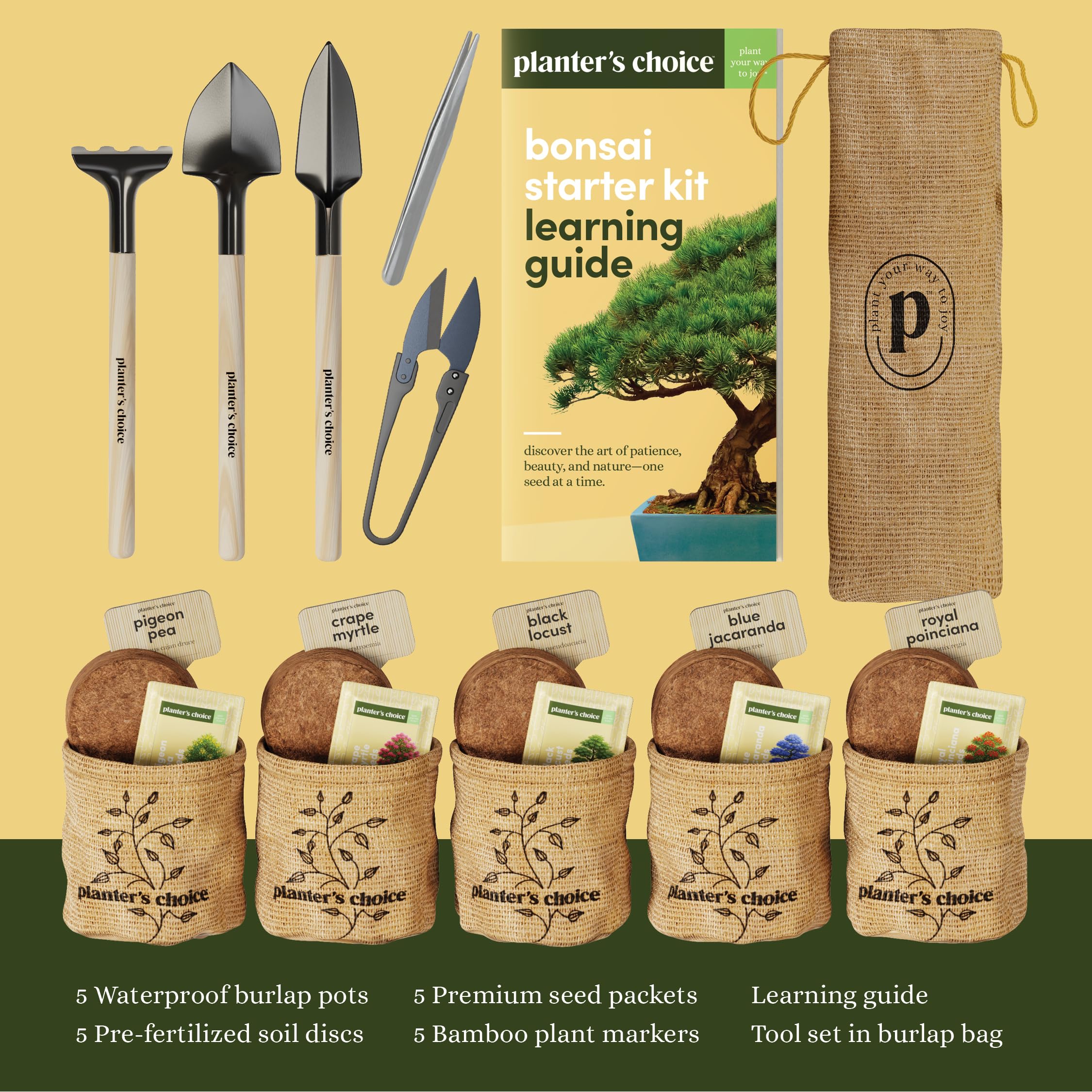 Planter's Choice Bonsai Tree Starter Kit - Unique Gifts for Women, Men - Christmas Gifts for Adults - Indoor Live House Plants - DIY Crafts for Adults Craft Kits - Hobby Gift for Gardening Lovers - Image 7