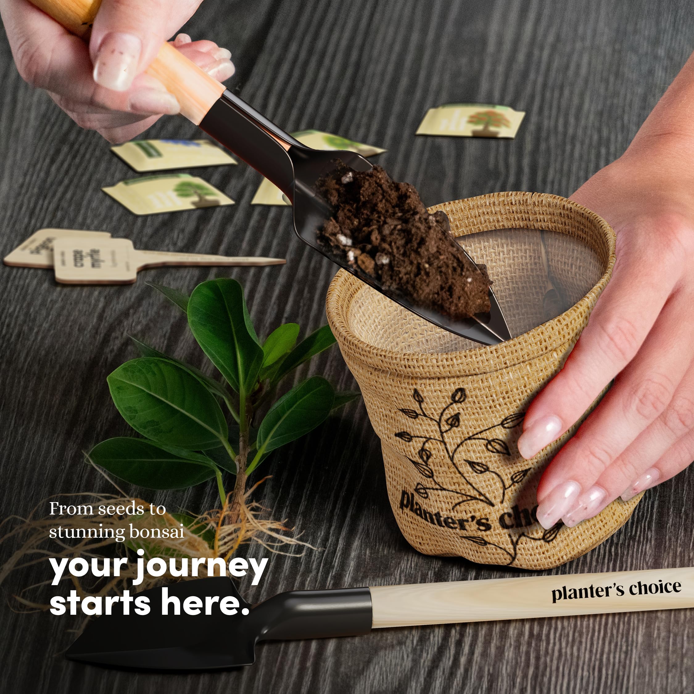 Planter's Choice Bonsai Tree Starter Kit - Unique Gifts for Women, Men - Christmas Gifts for Adults - Indoor Live House Plants - DIY Crafts for Adults Craft Kits - Hobby Gift for Gardening Lovers - Image 9