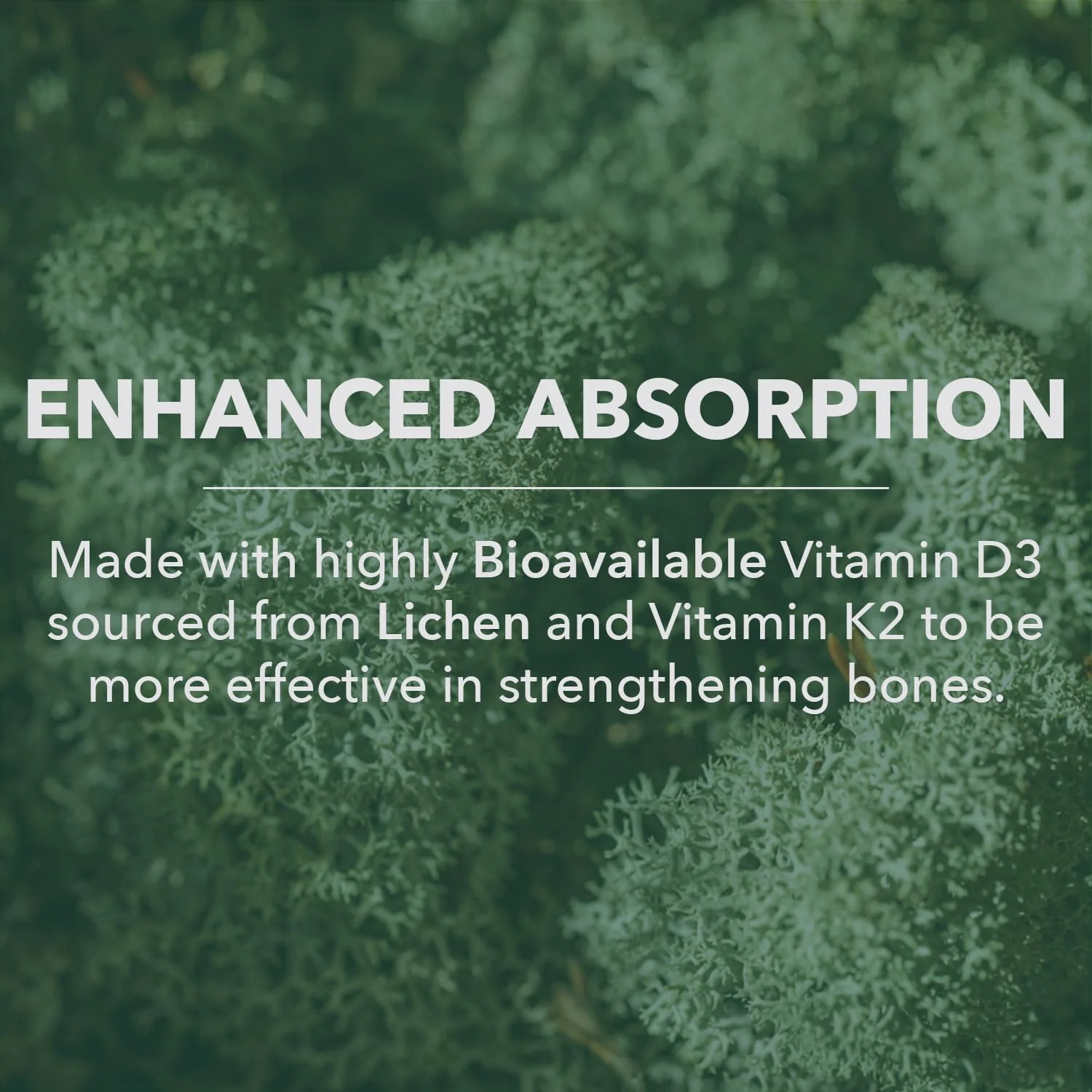 PlantFusion Organic Vegan Vitamin D3 + K2 5,000 IU, 50MCG – Vitamin D Sourced from Plant Based Lichen and Vitamin K2, for Immune Support and Bone Health - 60 Capsules - Image 3