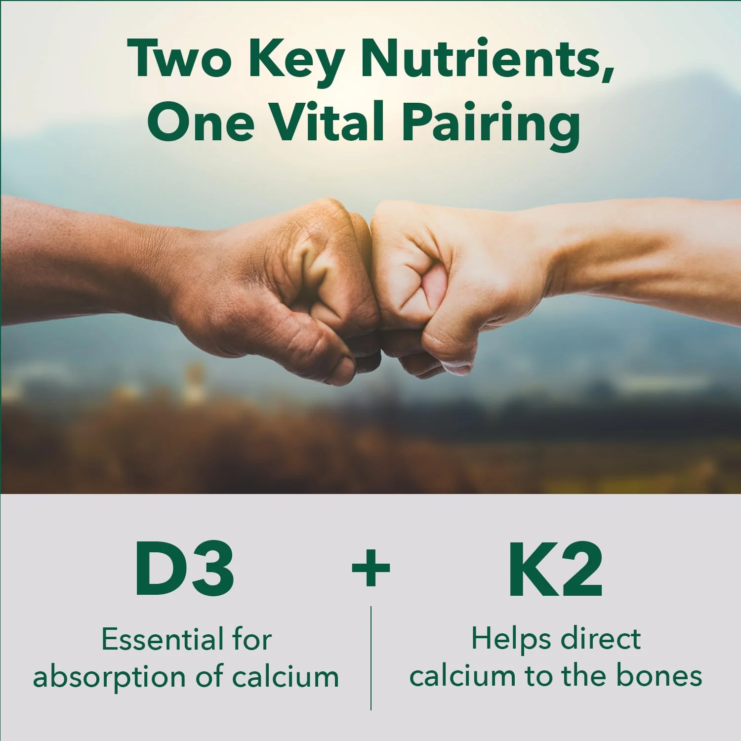 PlantFusion Organic Vegan Vitamin D3 + K2 5,000 IU, 50MCG – Vitamin D Sourced from Plant Based Lichen and Vitamin K2, for Immune Support and Bone Health - 60 Capsules - Image 6