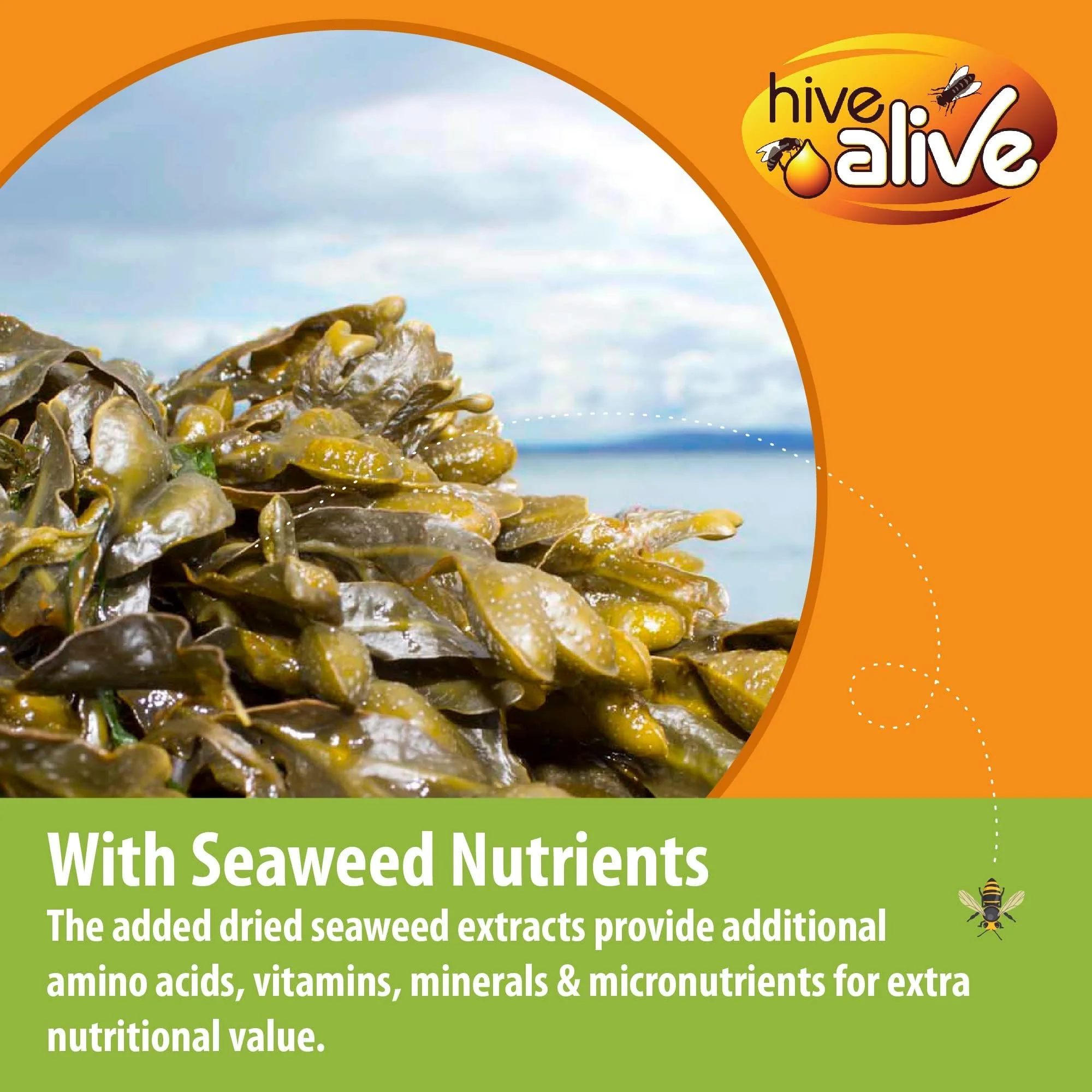 Pollen Patties for Honey Bees - 2lb (2x1lb) Bee Food with 15% Real USA Pollen, Full Dose of Hive Alive Concentrate, Seaweed Micronutrients, and Amino Acids - HiveAlive Feeding Program - Image 8