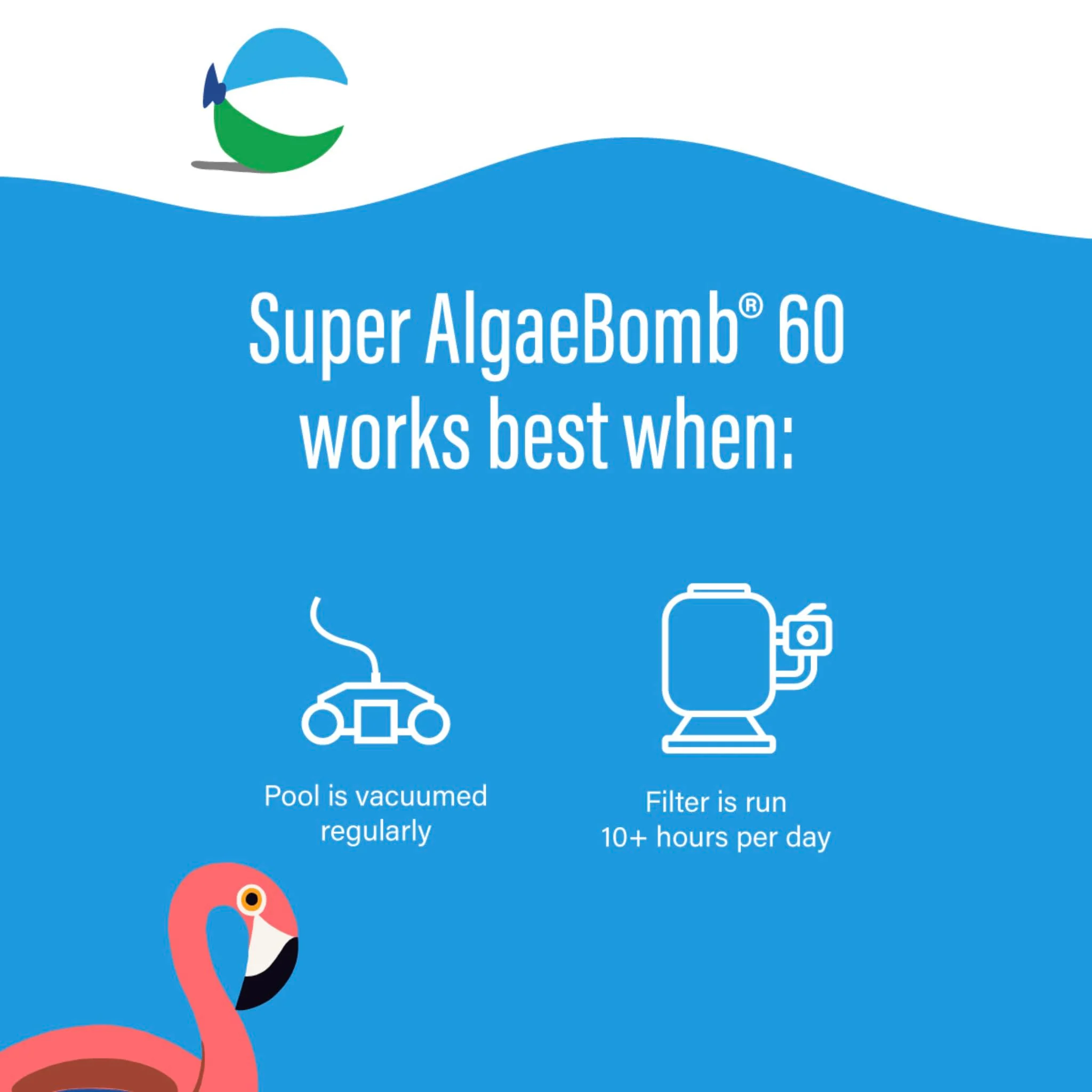 Poolife Super Algae Bomb Polyquat 60 Algaecide - Fast-Acting, Non-Foaming Pool Algaecide for Green, Black, Mustard Algae - Ideal for Spas & Fountains & Winterizing - 1 qt Liquid with Long Protection - Image 4