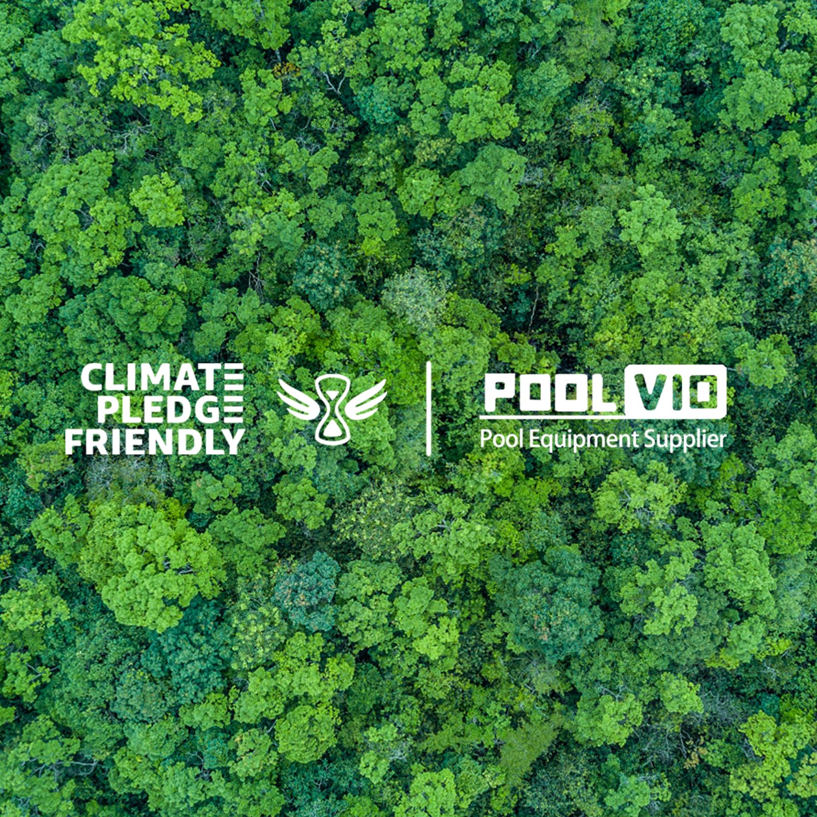 Poolvio Pool Cleaning Kit with Spa Jet Vacuum Cleaner, 8-Foot Pole, Leaf Rake Net & Round Brush for Inflatable and Above-Ground Pools - Image 2