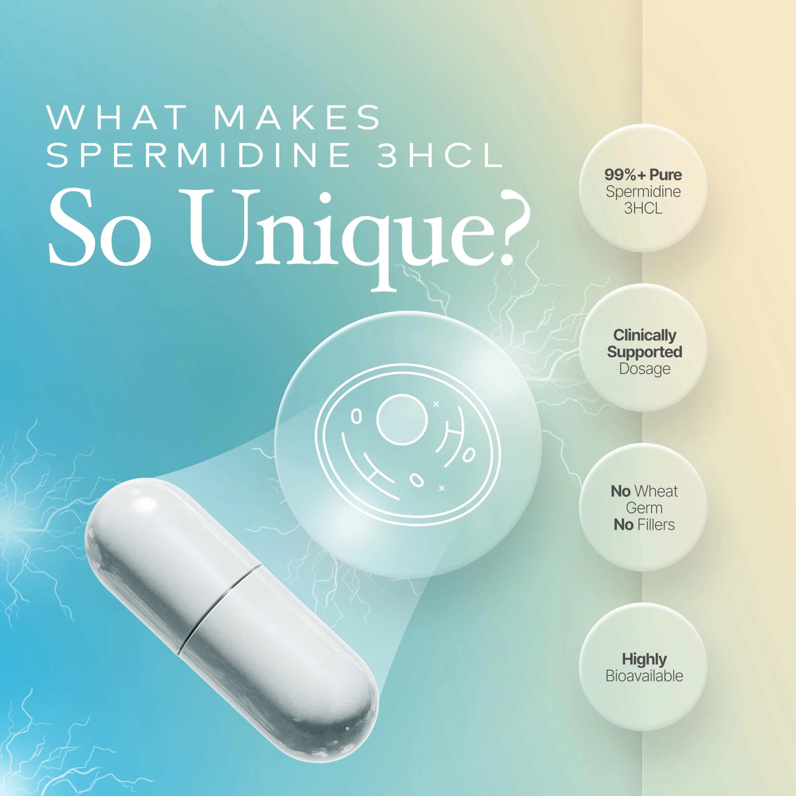 Prime Powders Spermidine Capsules Gluten Free 99% Concentration 100x More Potent Than Wheat Germ Extract for Anti-Aging DNA Telomere Support - Image 4