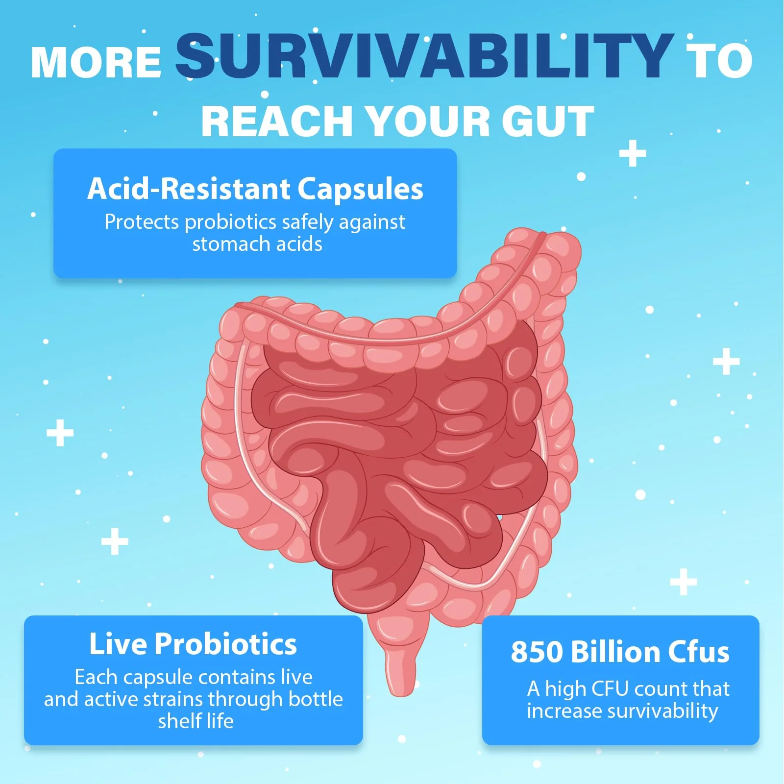 Probiotics for Men, Advanced 50+ Mens Probiotic, Comprehensive Gut & Energy Support with 850 Billion CFU, 1800mg Prebiotics Fiber – Tailored Wellness mens probiotics for gut health over 50, 90 Capsule - Image 2