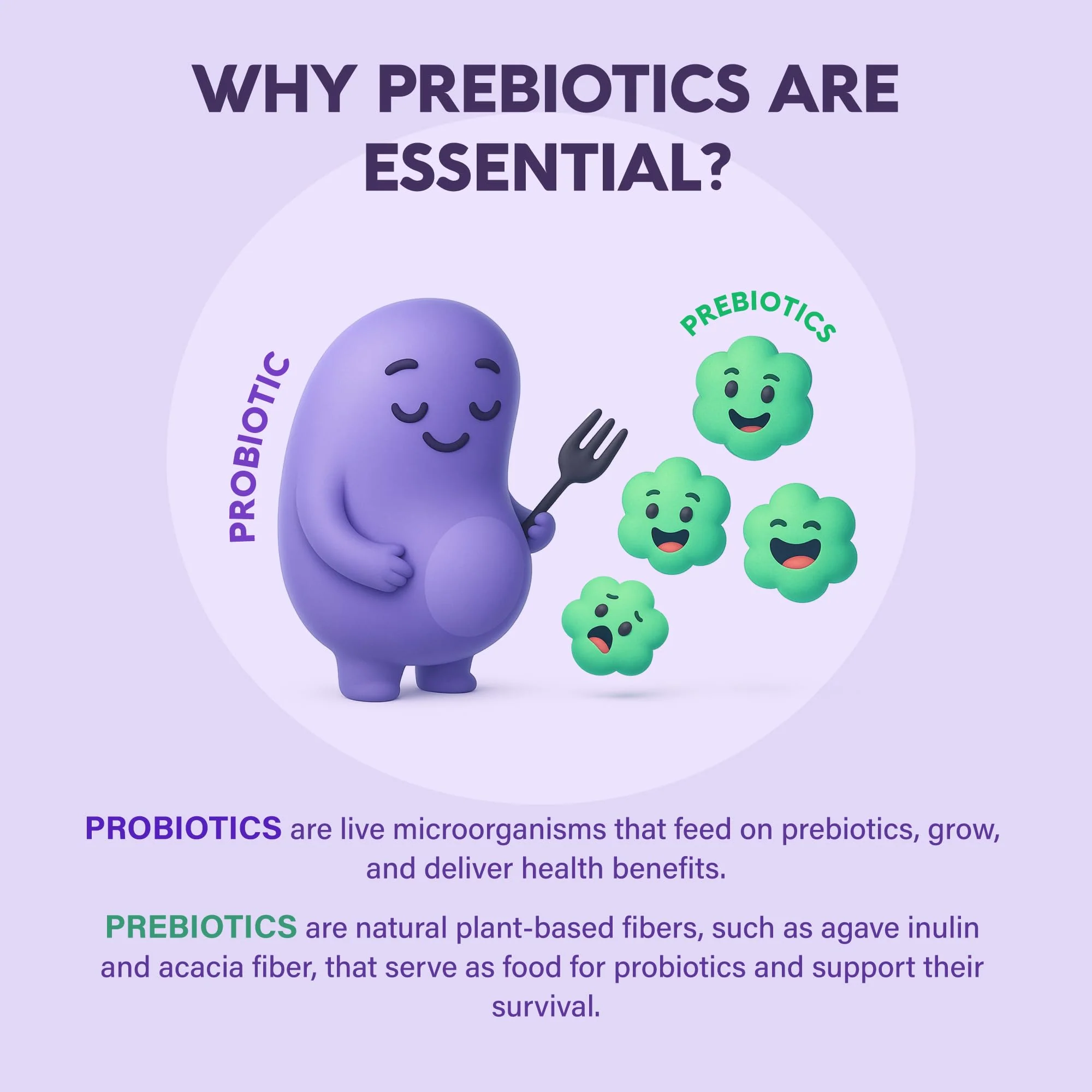 Probiotics for Women 50 Billion CFU - Vaginal Probiotics Clinically Proven for Yeast & pH Balance - Digestion & Bloating Relief - 8 Strains + Prebiotics - Delay Release - Made in USA, 60 Capsules - Image 3