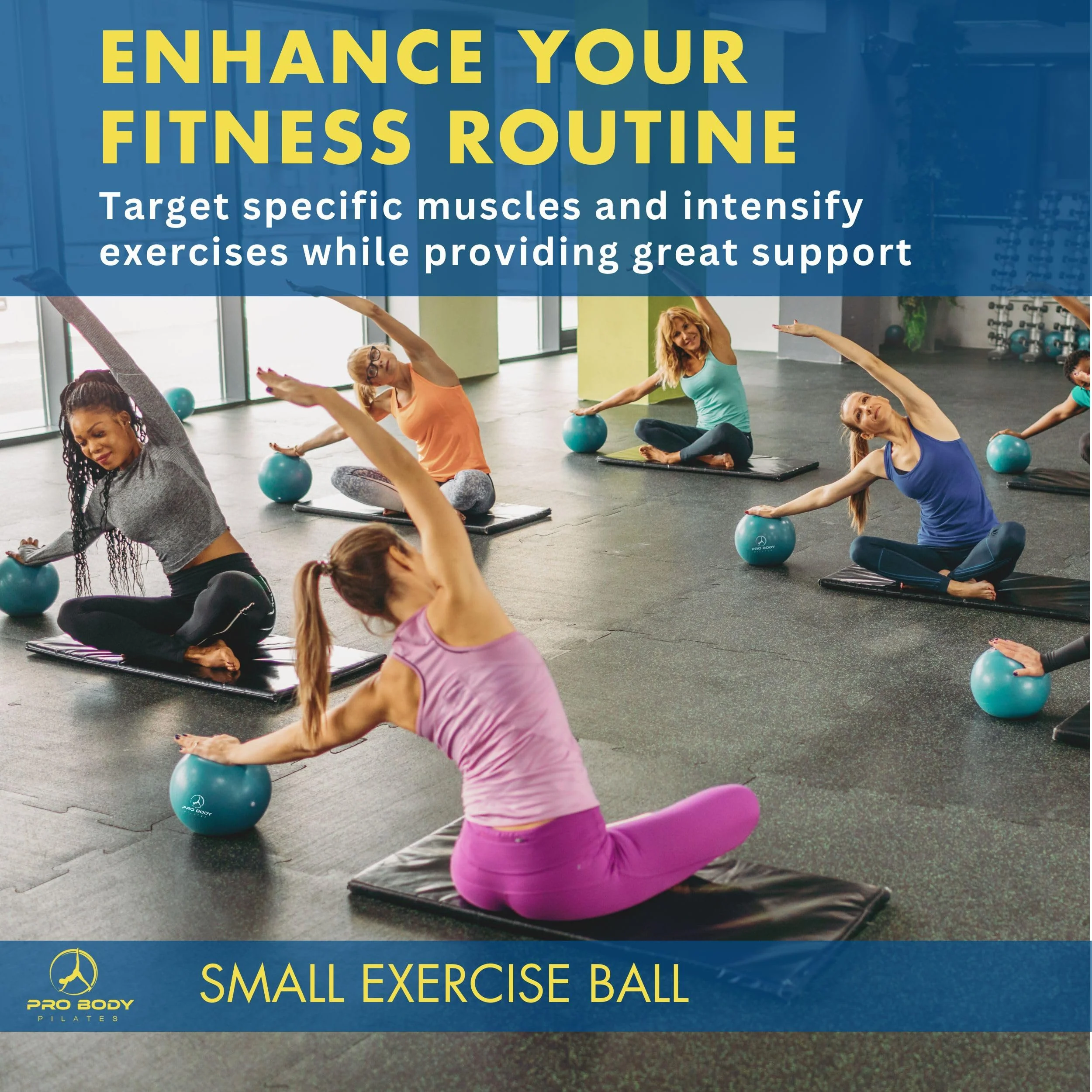 ProBody Pilates Small Exercise Ball - 9 Inch Workout Ball for Stability, Barre, Yoga, Core & Physical Therapy, Home Gym & Office Use (Blue) - Image 3