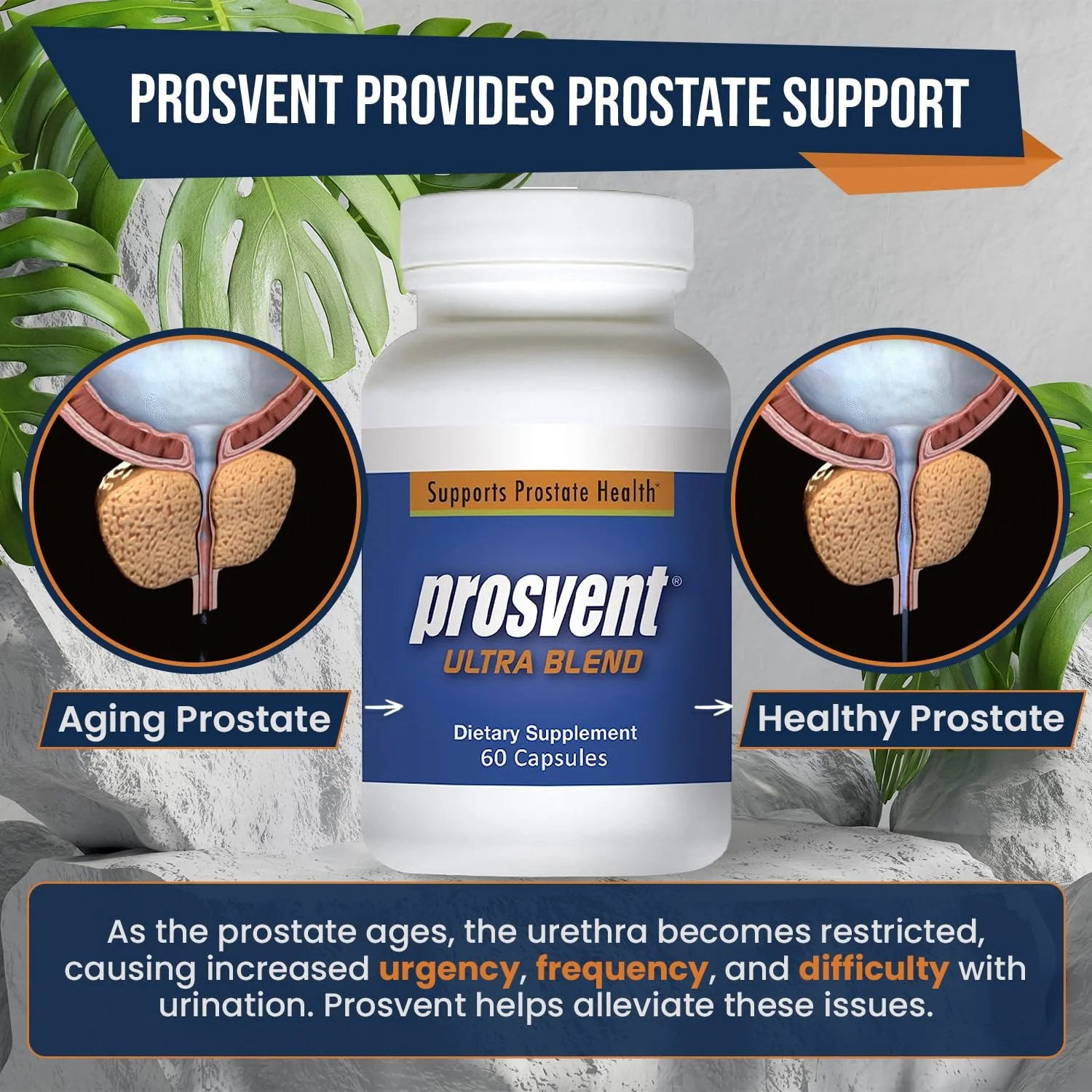 Prosvent Advanced Prostate Support Ultra - Natural Supplement with Saw Palmetto, Pygeum, Lycopene, Stinging Nettle, Beta Sitosterol, Cranberry and More to Ease Urinary Frequency & Urgency (60 Count) - Image 2