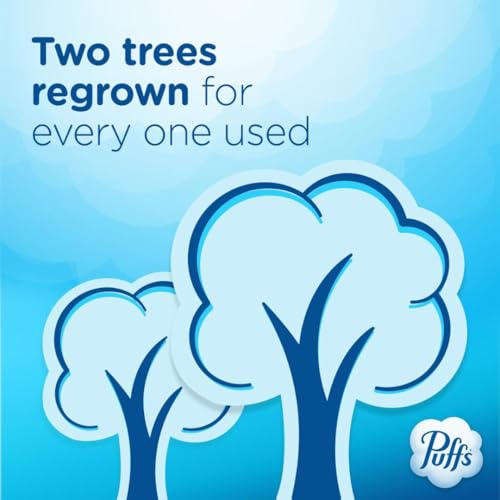 Puffs Plus Lotion Facial Tissues, 24 Family Boxes, 124 Tissues Per Box - Image 3