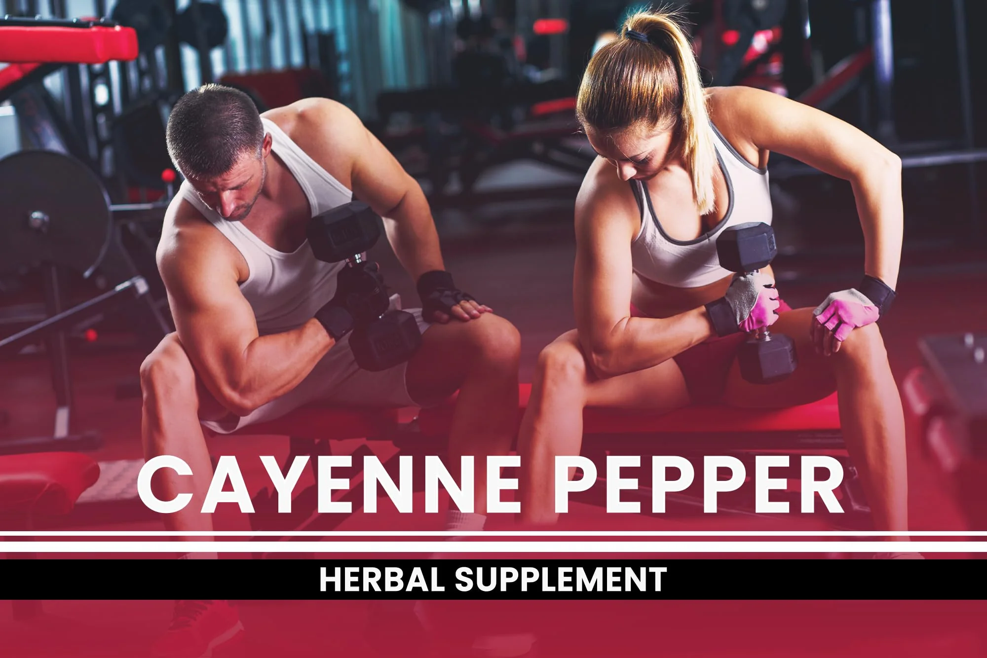 PURE ORIGINAL INGREDIENTS Cayenne Pepper (365 Capsules) No Magnesium Or Rice Fillers, Pure, Lab Verified - Image 4