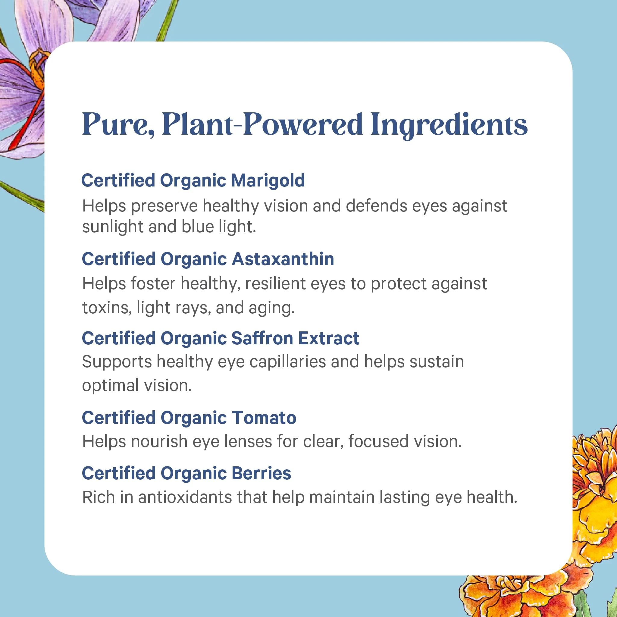 PURE SYNERGY Eye Protector | 100% Natural, Vegan Eye Health Supplement | with Organic Astaxanthin, Lutein, & Zeaxanthin | for Healthy Vision (60 Capsules) - Image 3