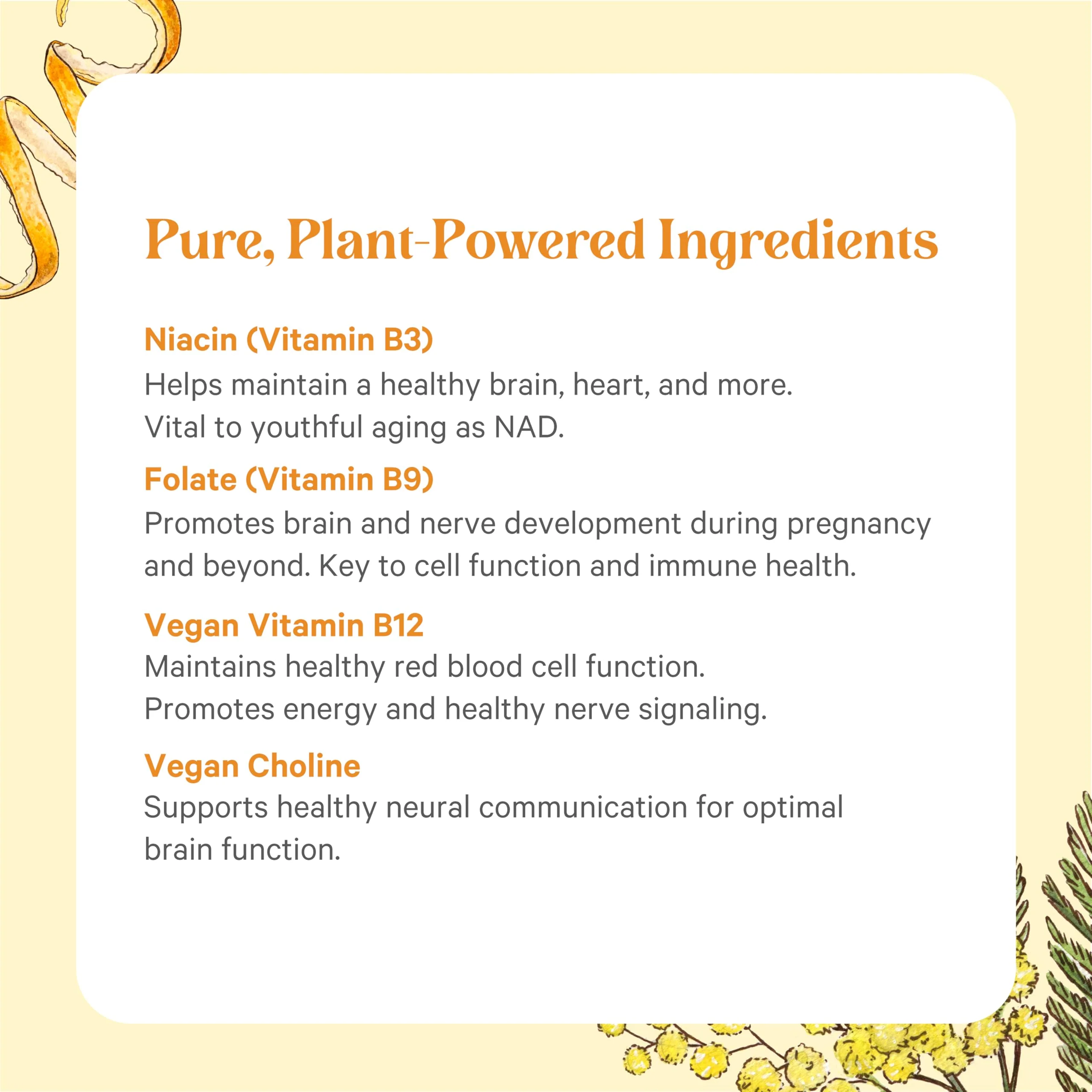 PURE SYNERGY Super B-Complex | Vitamin B Complex Made with Organic Whole Foods | Vegan Supplement with Natural Vitamin B12, Niacin, and Folate | for Energy, Focus and Mood Support (60 Tablets) - Image 3