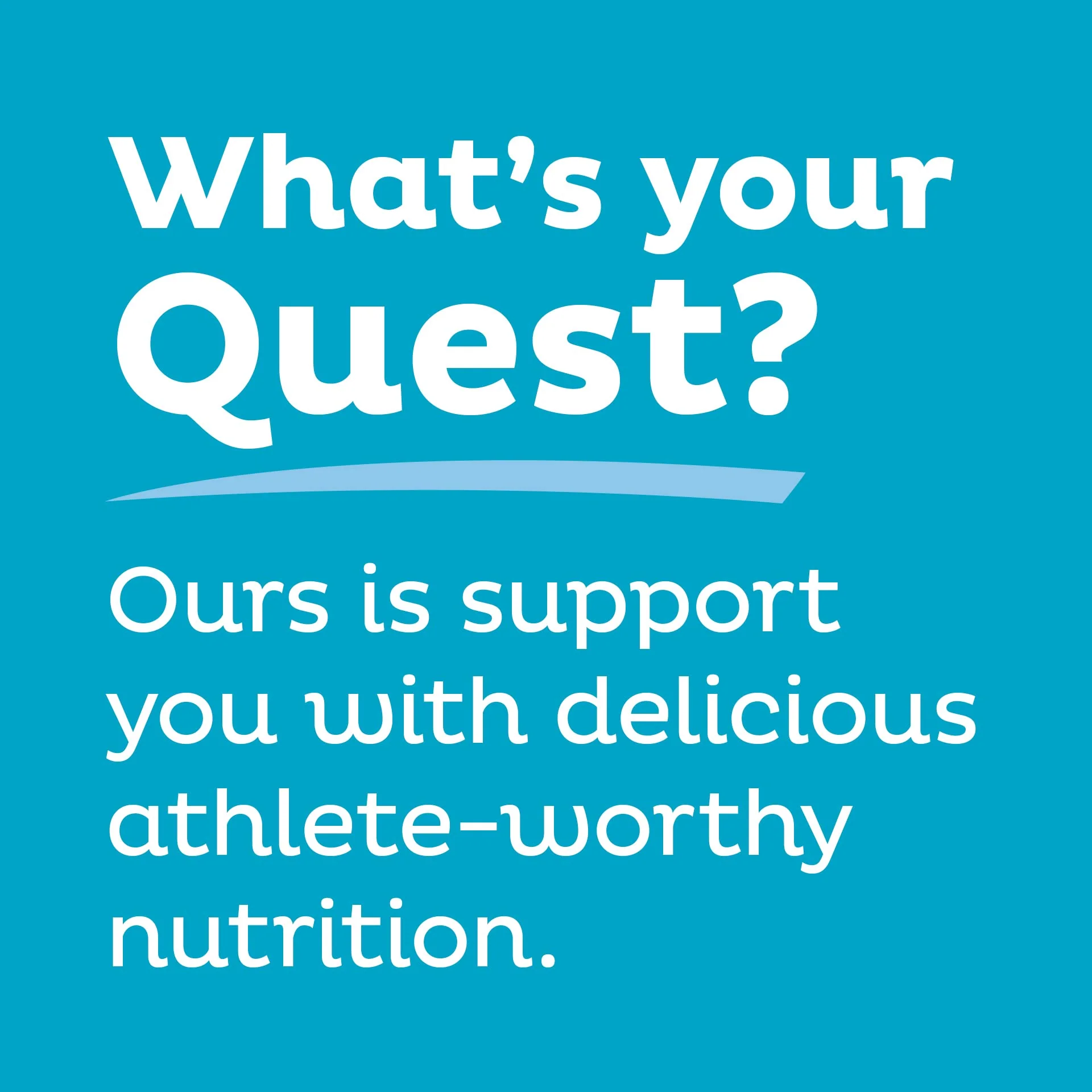 Quest Nutrition Protein Chips Variety Pack, BBQ, Cheddar & Sour Cream, Sour Cream & Onion, High Protein, Low Carb, 1.1 oz (Pack of 12) - Image 3