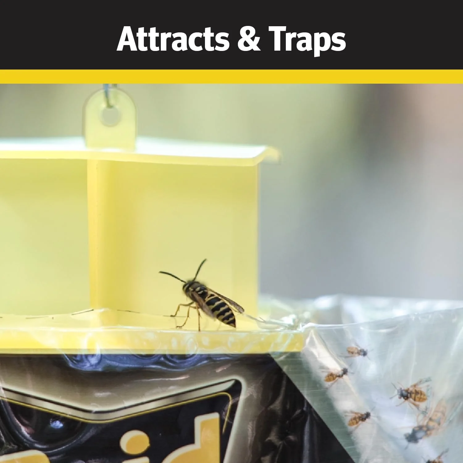 Raid Yellow Jacket, Wasp & Hornet Trap, 6 Pack, Disposable, Convenient, Hanging Fly Trap Bags with Food-Based Lure, No-Spray Outdoor Fly Traps Suitable Defense for Yards, Patios & Campsites - Image 4