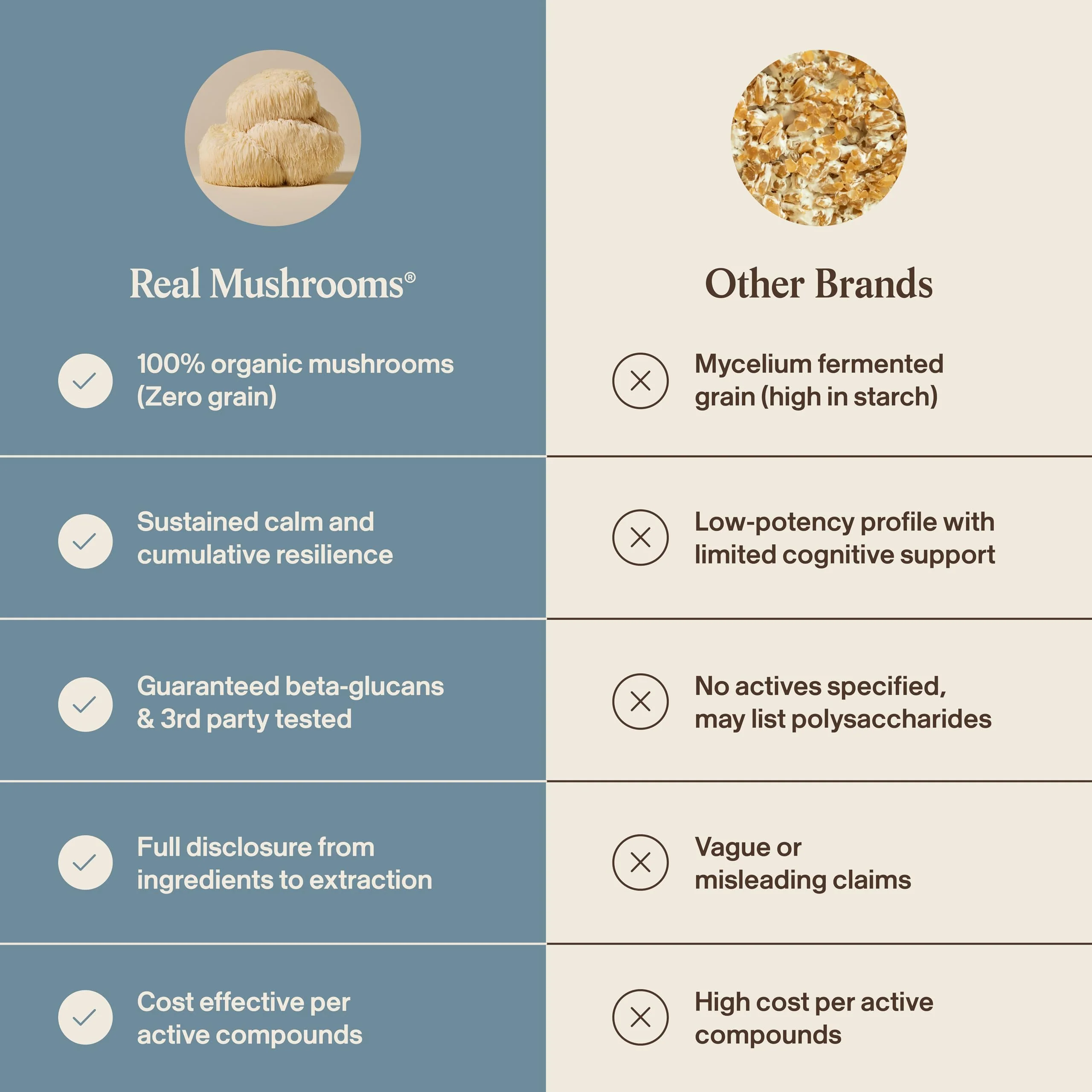 Real Muhsrooms Calm Lions Mane Capsules (90 Count) – 400mg Organic Lions Mane Fruiting Body Extracts, 200mg Organic Reishi, 200mg AlphaWave L-Theanine for Calm Clarity & Relaxed Alertness, 90ct - Image 7
