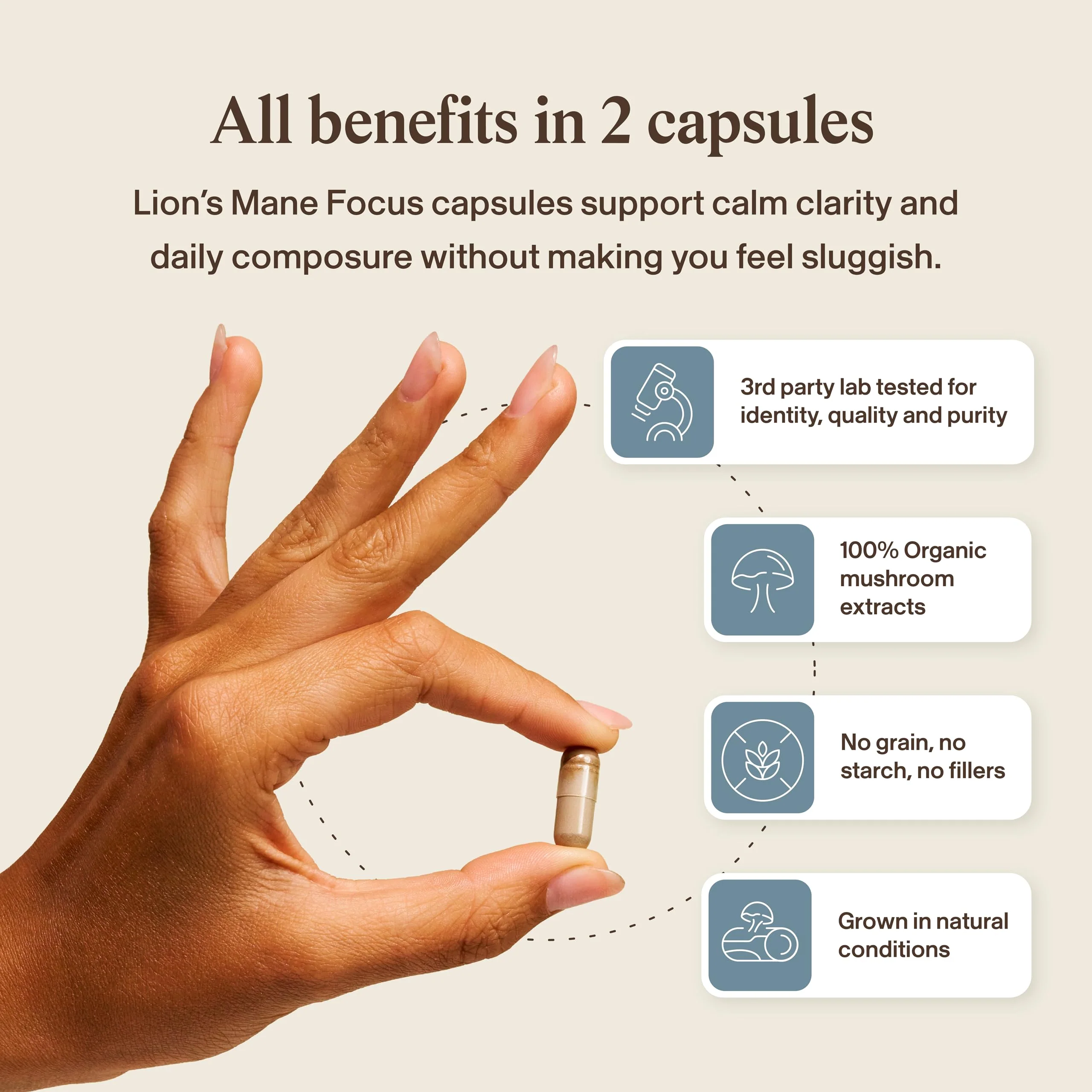 Real Muhsrooms Calm Lions Mane Capsules (90 Count) – 400mg Organic Lions Mane Fruiting Body Extracts, 200mg Organic Reishi, 200mg AlphaWave L-Theanine for Calm Clarity & Relaxed Alertness, 90ct - Image 8