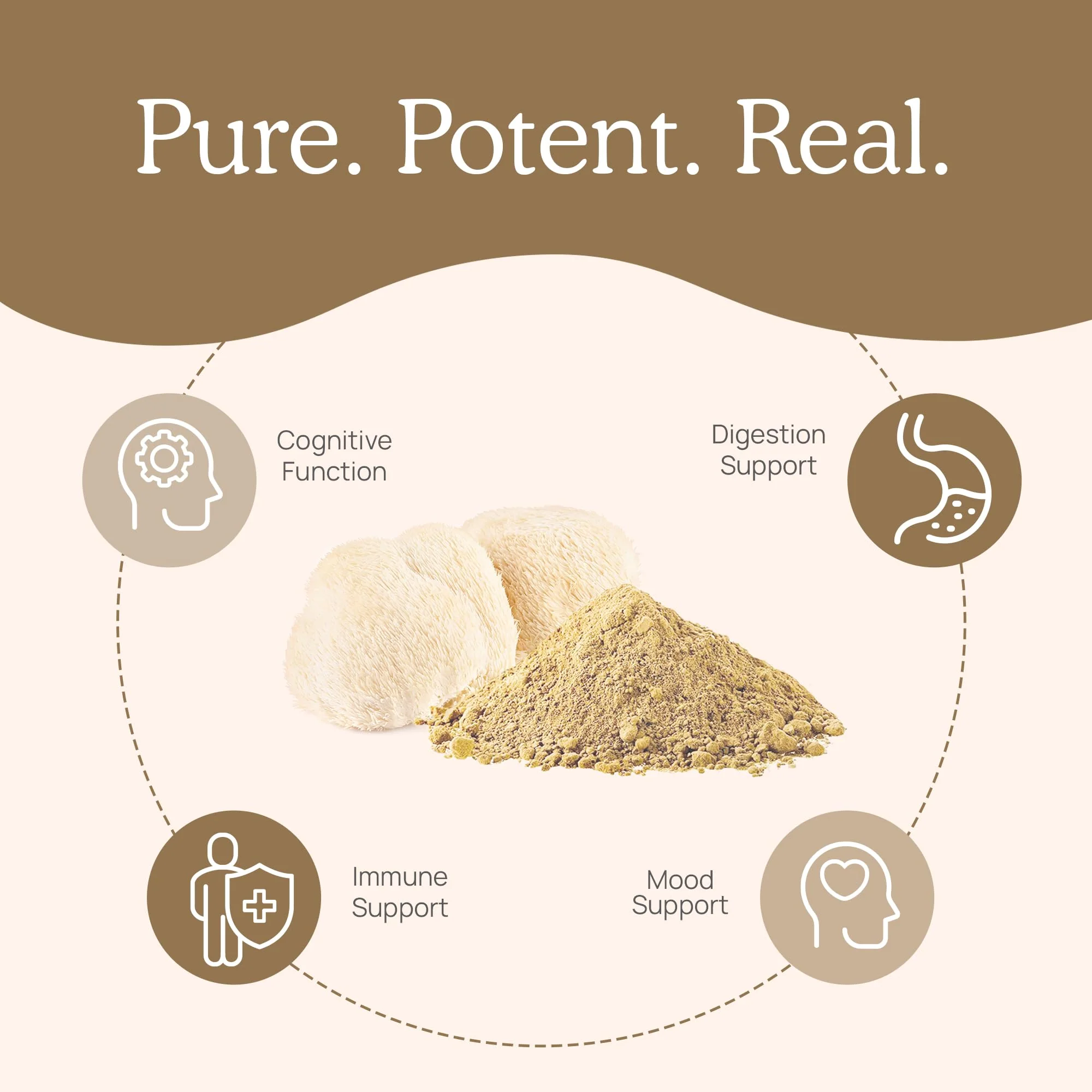 Real Mushrooms Lion’s Mane Capsules - Organic Lions Mane Mushroom Extract for Cognitive Function & Immune Support - Brain Supplements for Memory and Focus - Vegan Mushroom Supplement, 300 Caps - Image 6