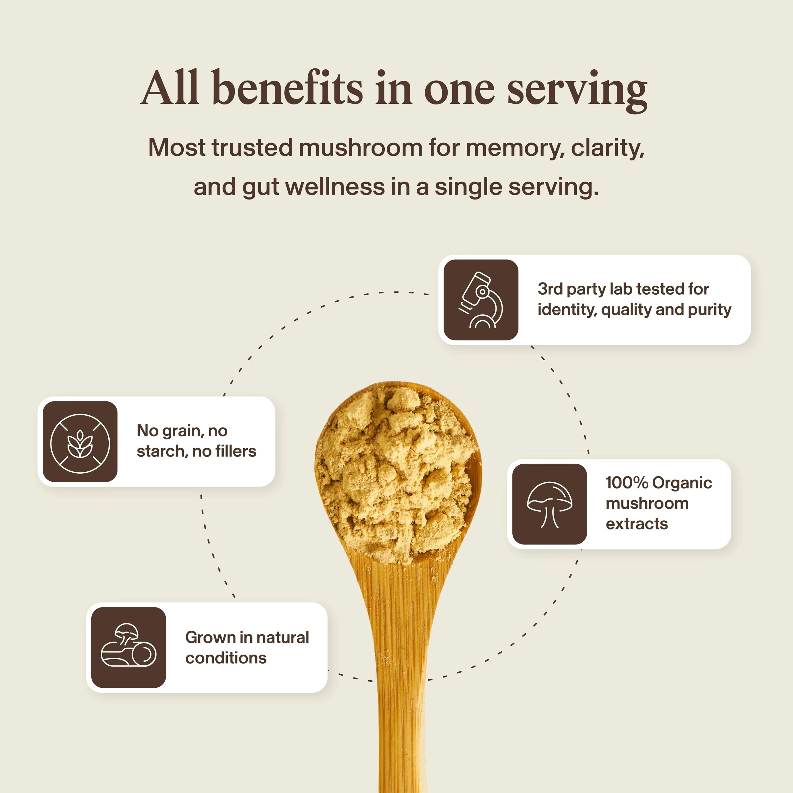 Real Mushrooms Lions Mane Mushroom Supplement - Organic Lions Mane Extract Powder for Overall Wellness with Adaptogens – Functional Vegan, Non-GMO Blend with 60 Servings - Image 8