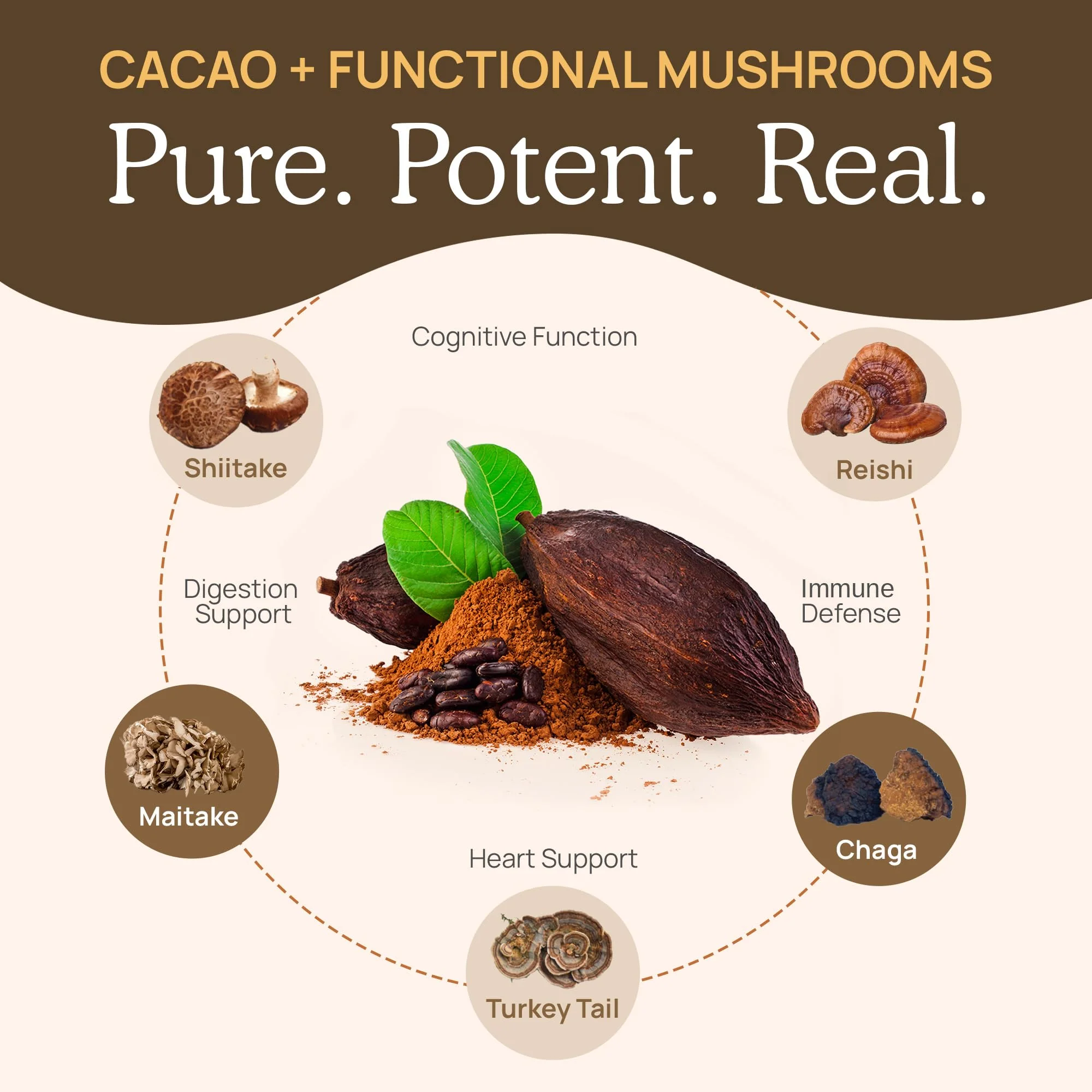 Real Mushrooms Unsweetened Hot Chocolate Mix with 5 Defenders – Reishi, Chaga, Turkey Tail, Maitake, Shiitake – Coco Powdered Unsweetened – Organic Cacao Powder Supplement, Vegan, 15 Servings - Image 6
