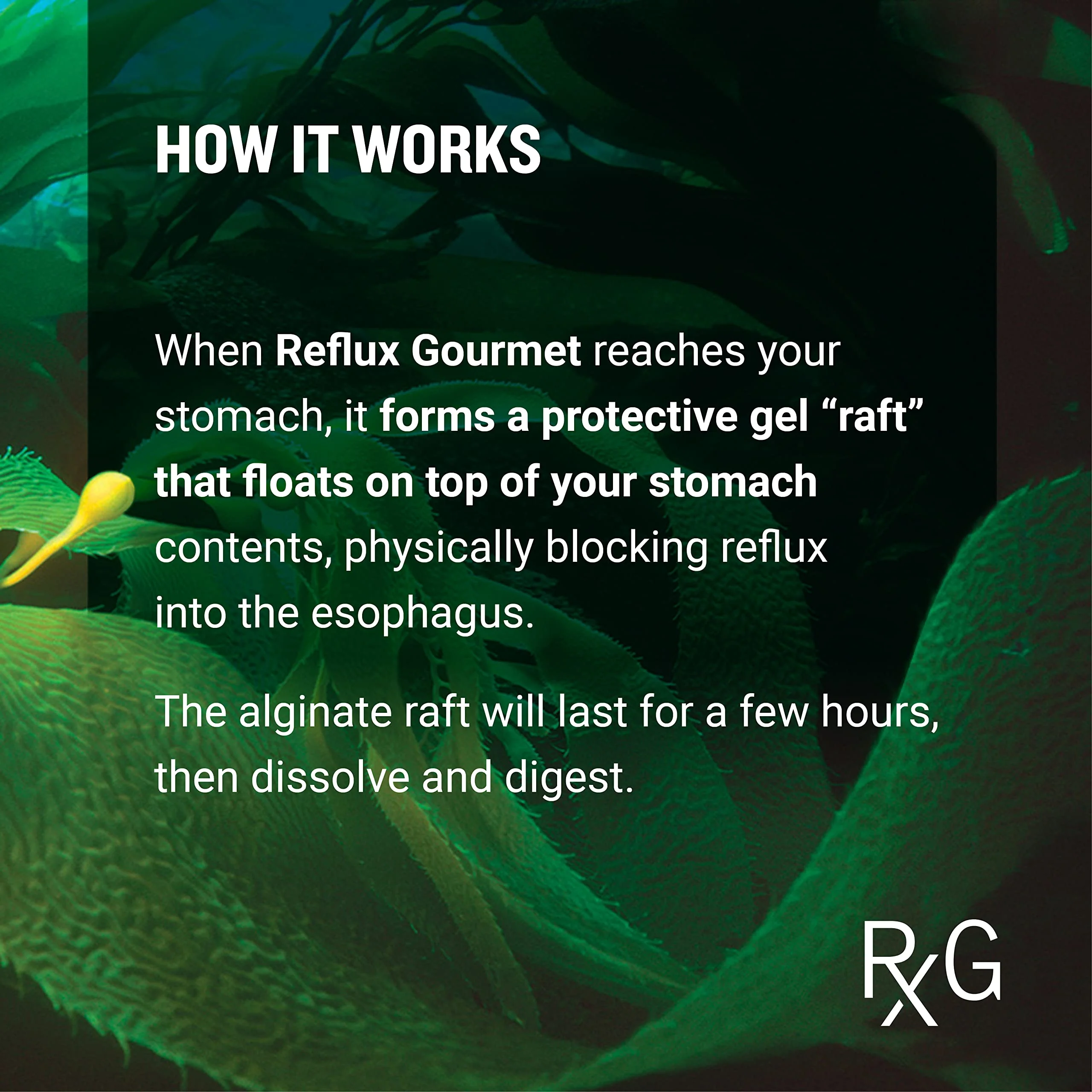 REFLUX GOURMET Natural Heartburn Acid Reflux Relief Support Supplement for GERD, LPR, Indigestion, Aid for Intermittent Fasting, Alginate Therapy, Made in The USA, Vanilla Caramel - Image 5