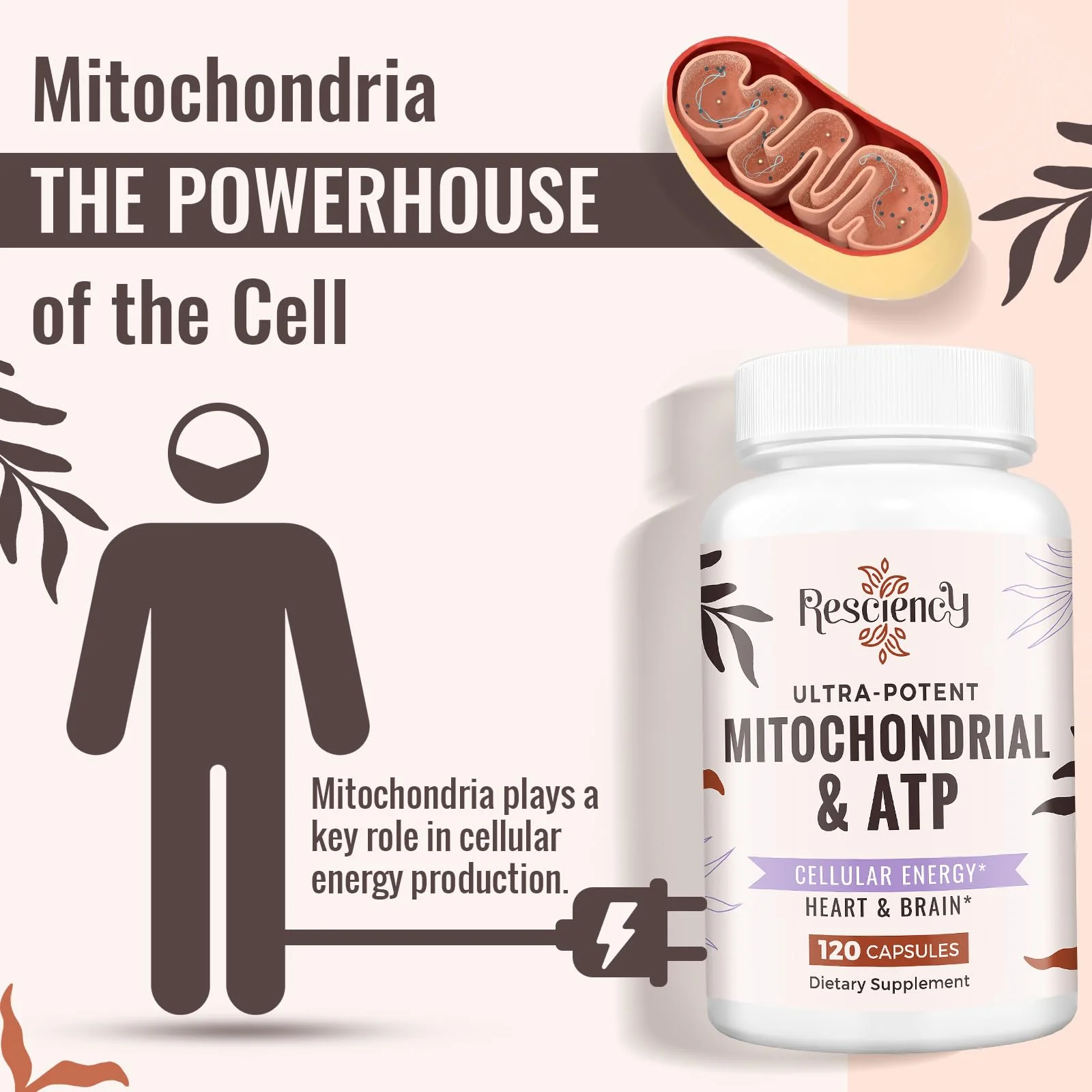 Resciency 2326 MG Mitochondrial Supplements with ATP, Vitamins, CoQ10 & PQQ, More Effective Than Creatine HMB & Nitric Oxide, Energy, Endurance, Strength, Recovery & Muscle, Organic, 240 Capsules - Image 2