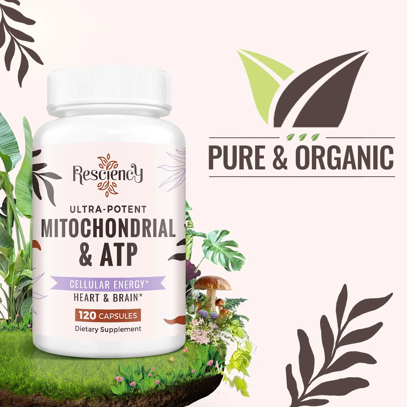 Resciency 2326 MG Mitochondrial Supplements with ATP, Vitamins, CoQ10 & PQQ, More Effective Than Creatine HMB & Nitric Oxide, Energy, Endurance, Strength, Recovery & Muscle, Organic, 240 Capsules - Image 5