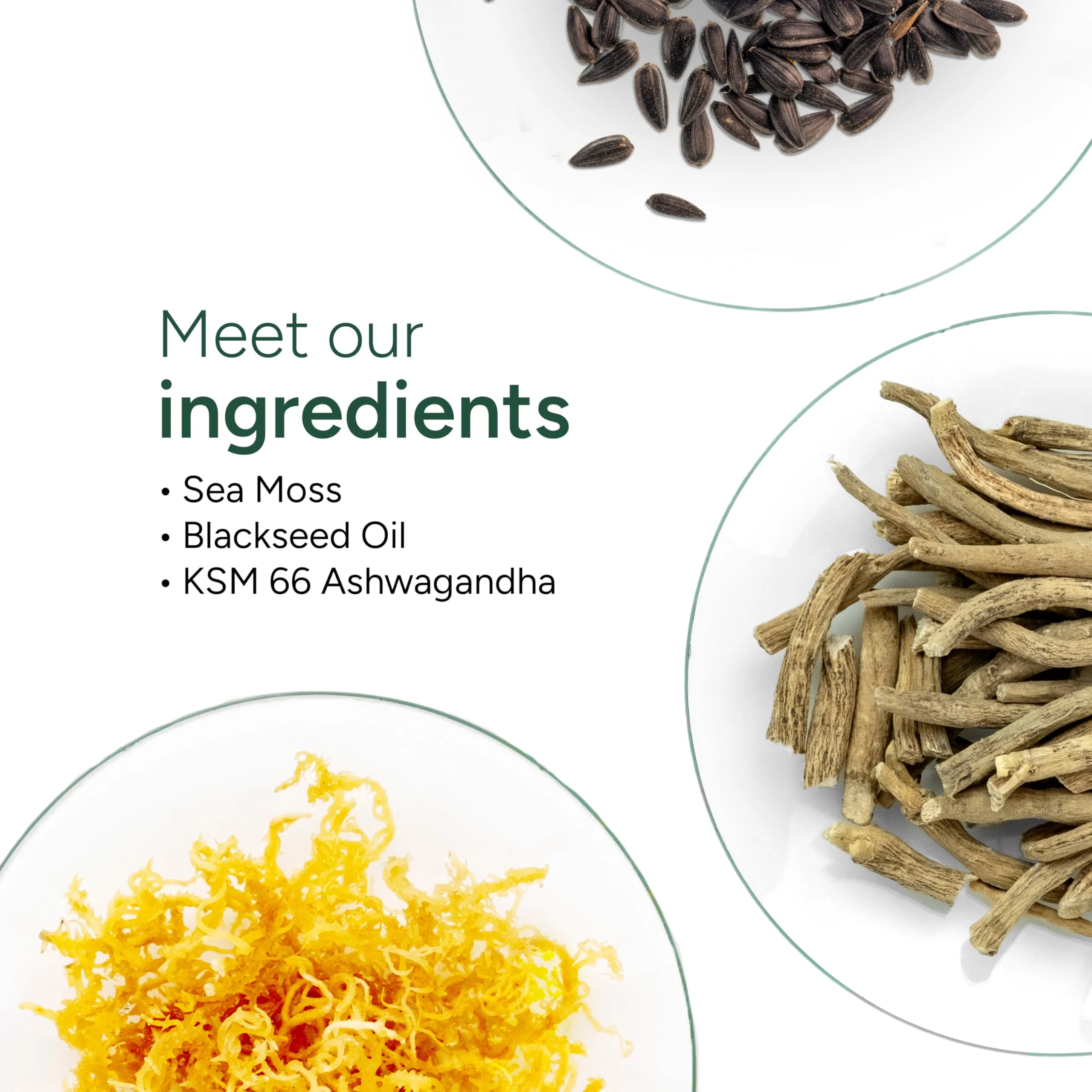 ROOT LABS Sea Moss Gummies I 92+ Minerals I Black Seed Oil I KSM 66 Ashwagandha I Lab Tested I No Added Sugar | for Men, Women I Non-GMO I 100% Natural & Organic I 1600 mg I 60 Gummy - Image 8