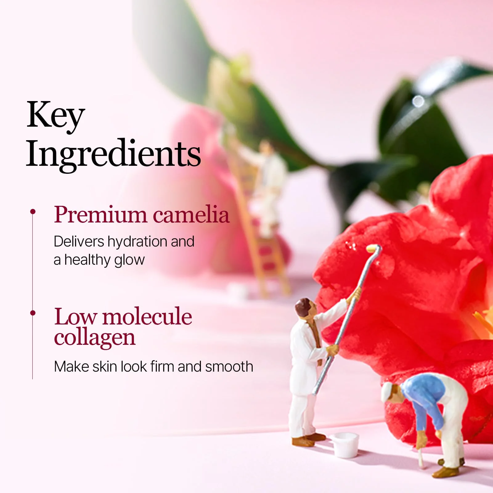 ROUND LAB Camellia Collagen Mask, 30min Hydrogel Mask, Quick Hydration, Firming&Pore Minimizing, For sensitive skin, Micro molecule collagen, Facial Mask, 34 g/1.19 Fl Oz 4ea - Image 5