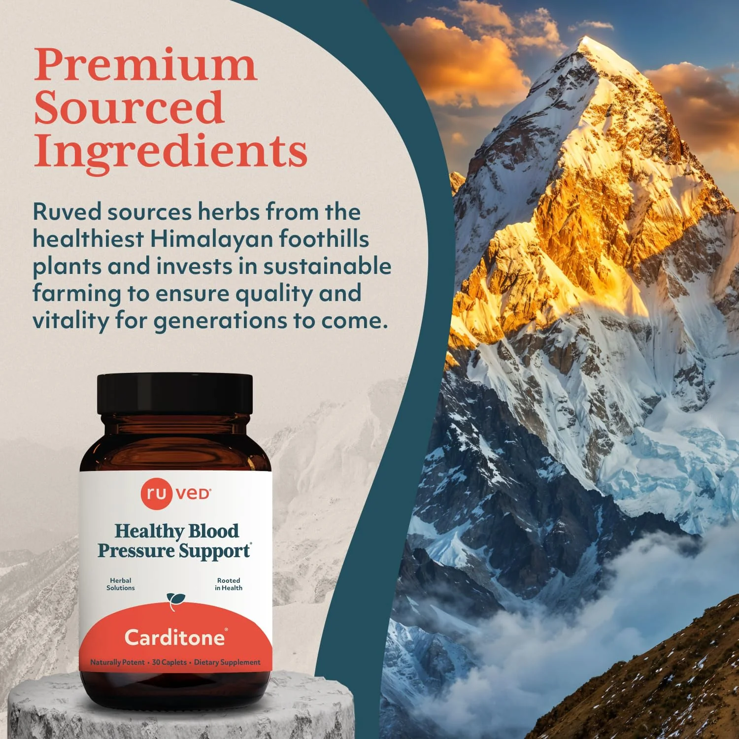 ruved Carditone - Natural Heart Health Supplement for Women & Men, BP Formula, Holistic Heart Support with Rauwolfia, Arjuna, Calcium, and Magnesium - 30 Vegetarian Caplets (Pack of 1) - Image 2