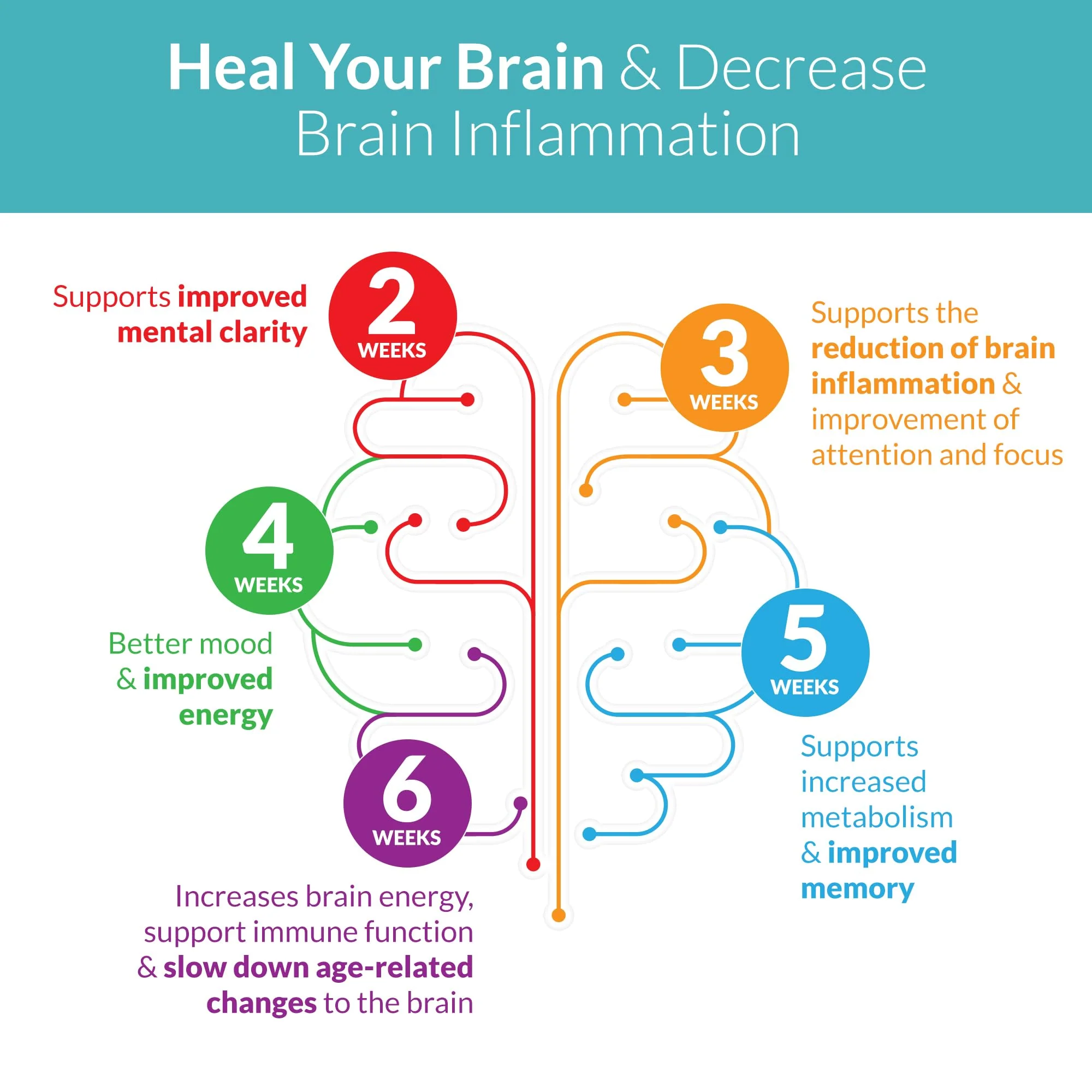 SANE MD Vitaae - Throat Phlegm, Coughing, and Brain Support - Citicoline Supplements for Respiratory, Throat, and Brain Health - Image 6