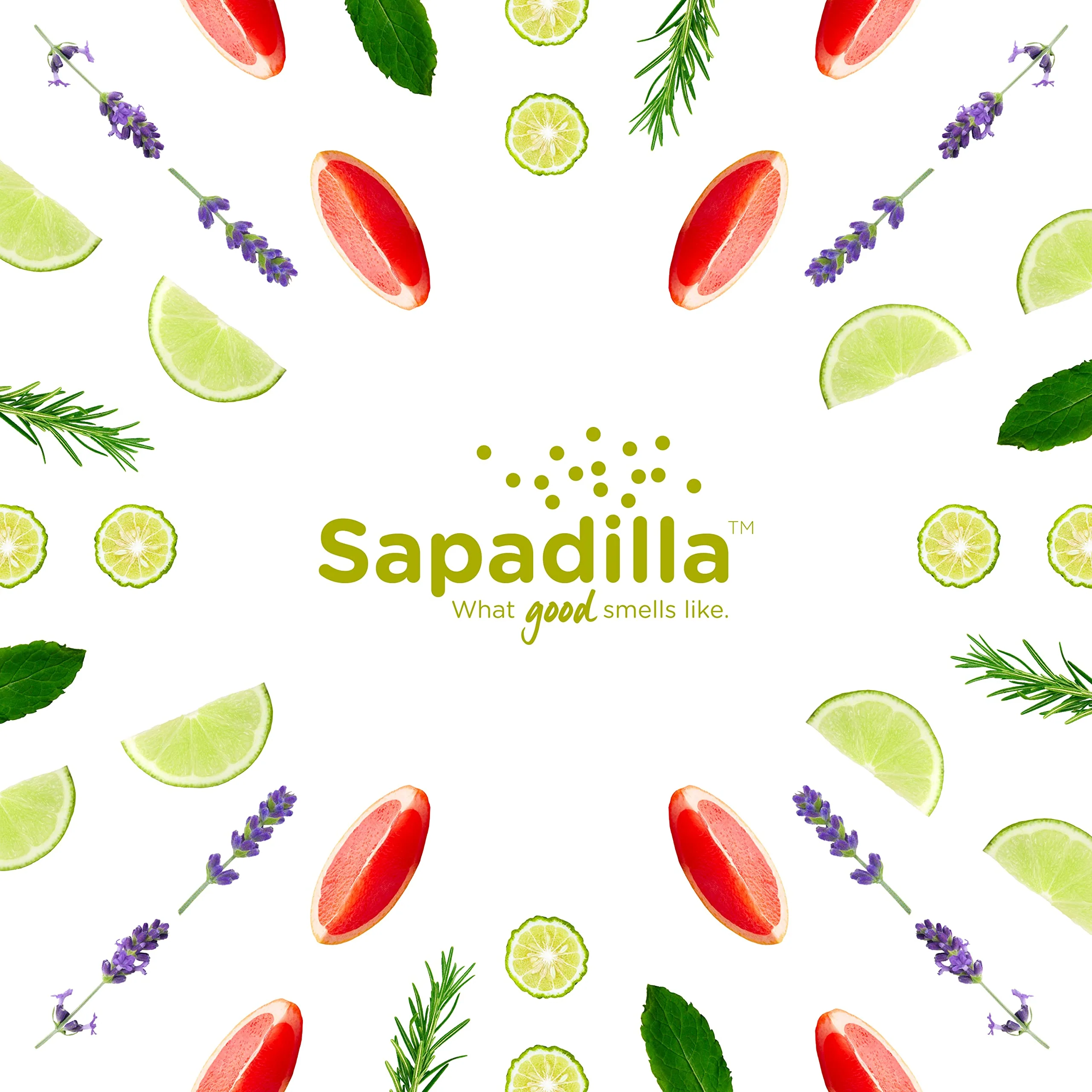 Sapadilla Liquid Hand Soap - Rosemary + Peppermint - Made with 100% Pure Essential Oil Blends, Cleansing & Moisturizing, Aromatic & Fragrant Hand Soap, Plant Based, Biodegradable, 12 Ounce (Pack of 3) - Image 2