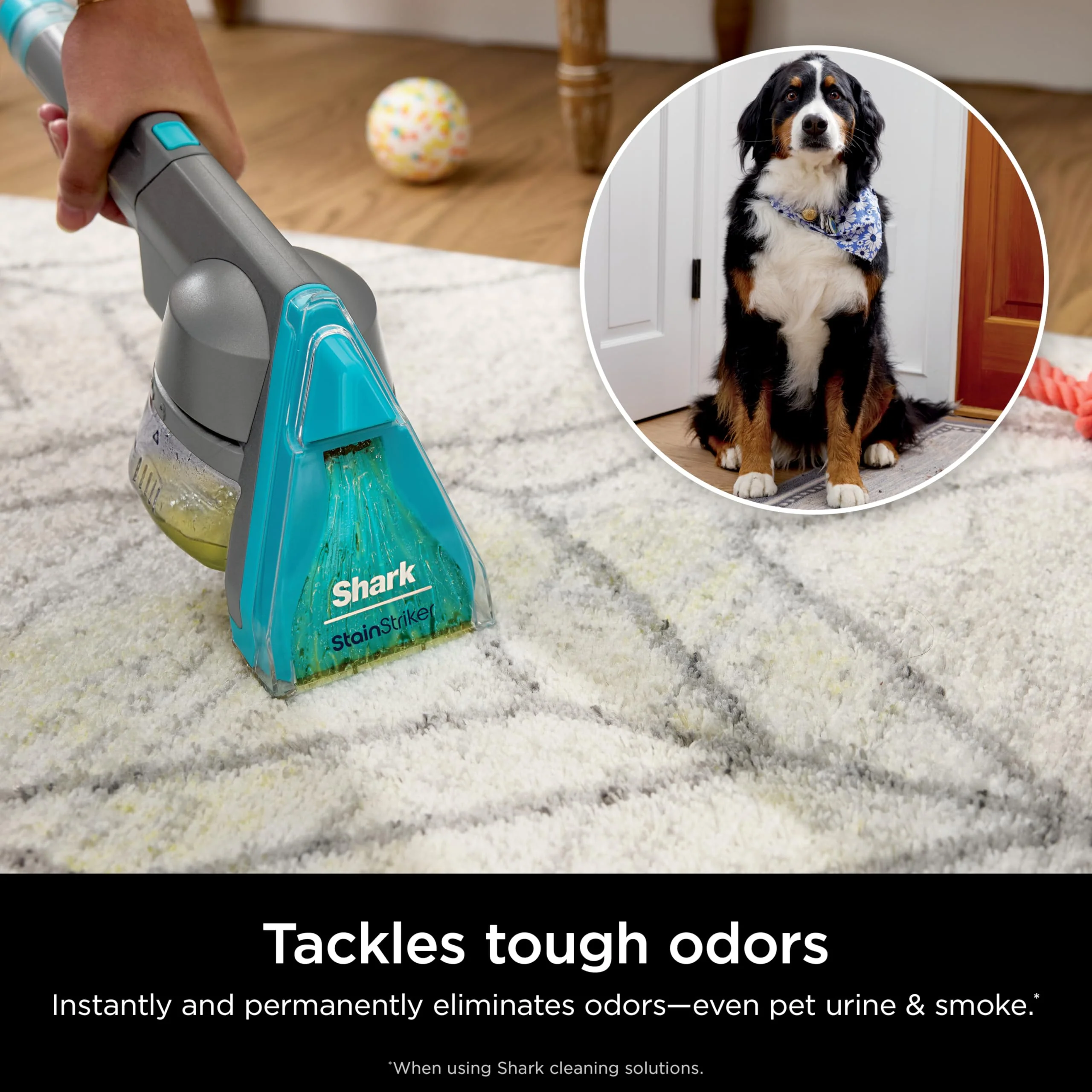 Shark CarpetXpert HairPro | Upright Carpet, Area Rug & Upholstery Cleaner | StainStriker Handheld Tough Stain Remover & Onboard Self Clean | Pet Hair Pickup & Odor Removal | 5 Tools | Navy | EX304 - Image 7