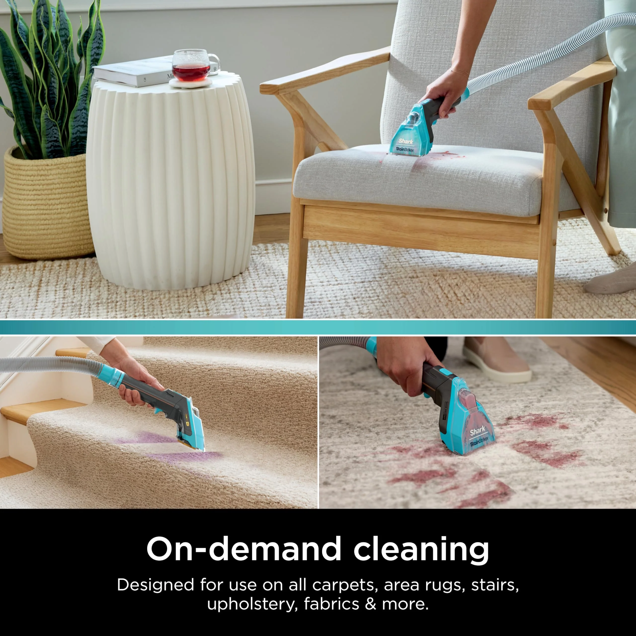 Shark Deep Clean Pet Formula for All Upright and Portable Carpet Cleaners,Formulated for All Carpets,Upholstery & Area Rugs,Tackles Tough Pet Messes and Odors,48oz,EXCP48,(Pack of 4) - Image 4