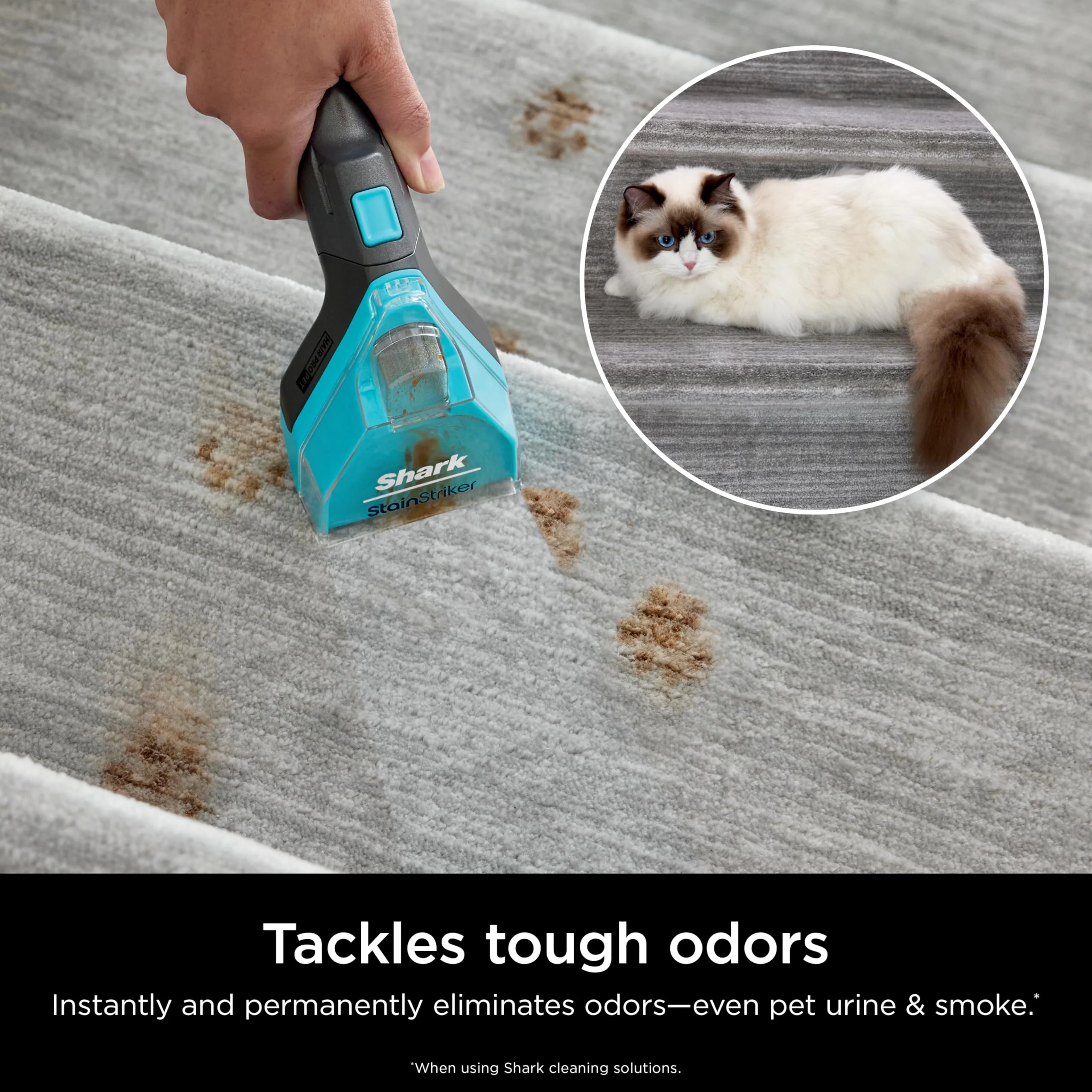 Shark Deep Clean Pet Formula for All Upright and Portable Carpet Cleaners,Formulated for All Carpets,Upholstery & Area Rugs,Tackles Tough Pet Messes and Odors,48oz,EXCP48,(Pack of 4) - Image 5