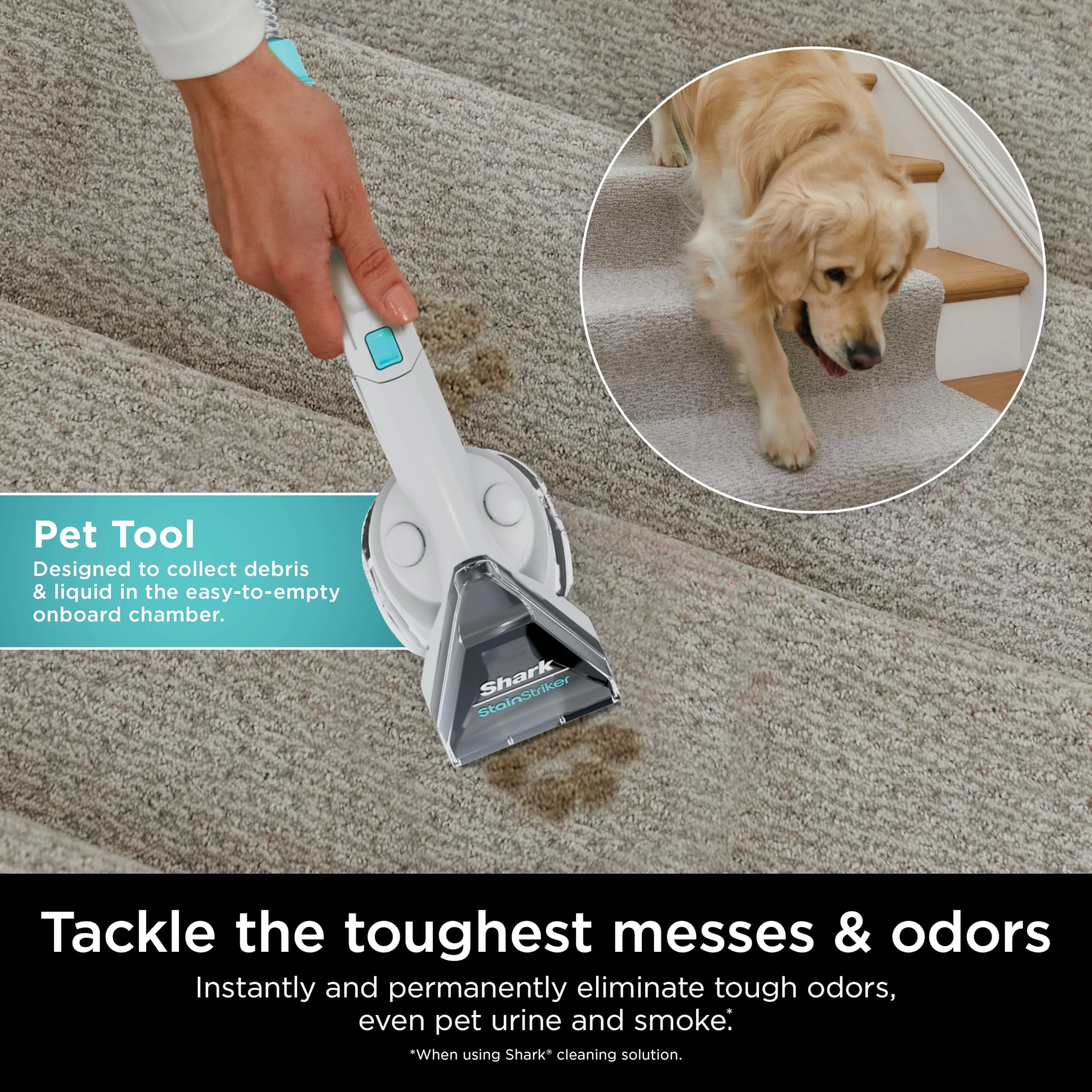 Shark StainStriker Cleaning Solution Bundle for Portable Cleaners, Carpet and Area Rug Formula, Instantly Eliminates Odors, Includes 32 oz OXY Multiplier and 16 oz Deep Clean Solution, PXCMBUNDLE - Image 2