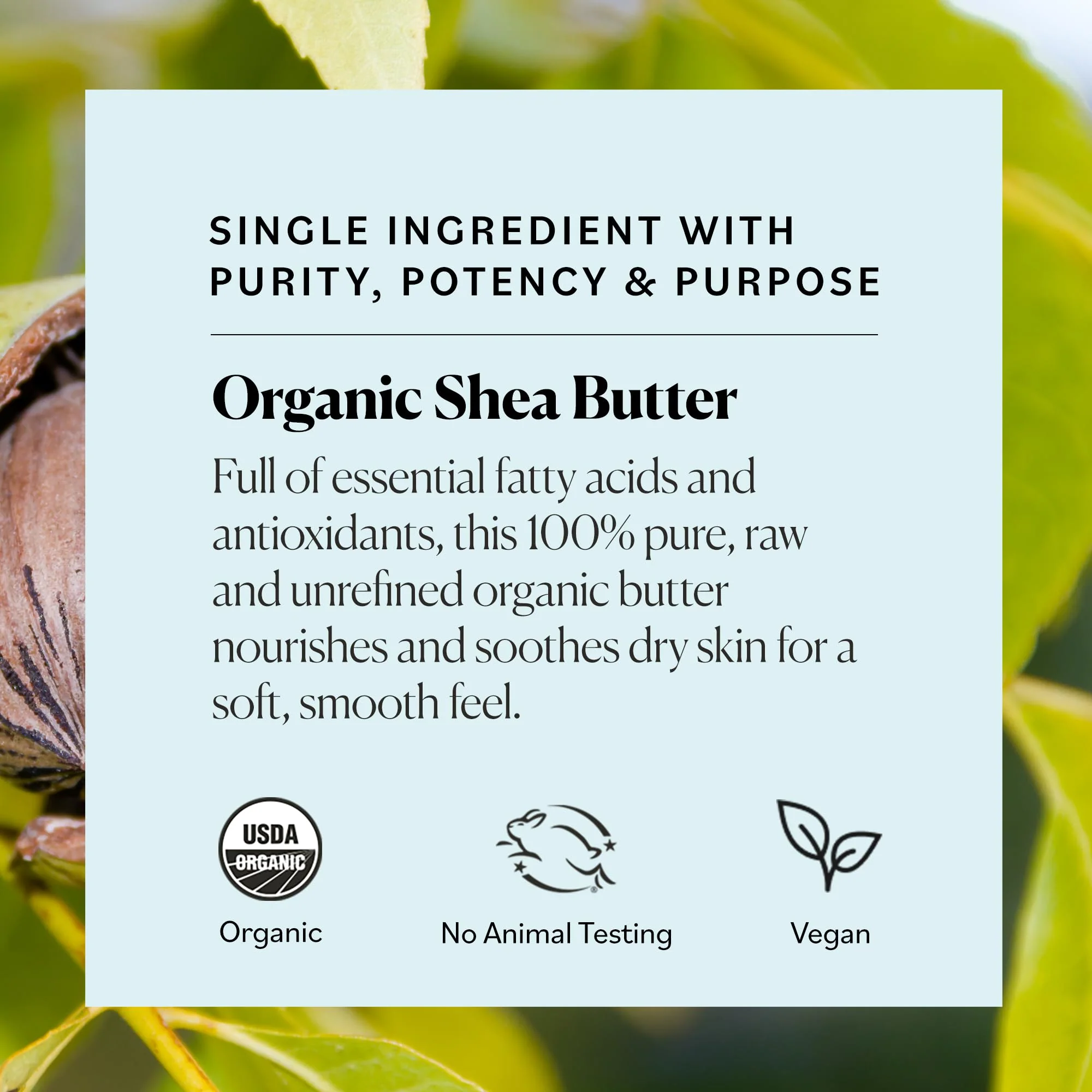 Sky Organics - Organic Shea Butter, 15 oz - Nourishes, Soothes, and Softens Dry Skin - Raw & Unrefined - Essential Fatty Acids & Antioxidants - Natural, Vegan & Cruelty Free - Skin Care & Self Care - Image 4