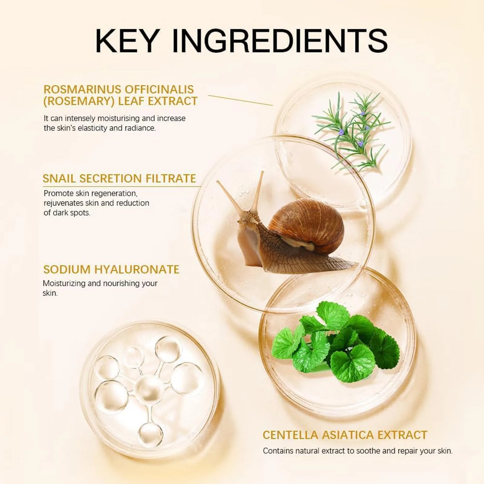 Snail Mucin Serum, Snail Secretion Filtrate, Snail Mucin, Power Repairing Essence - Image 7