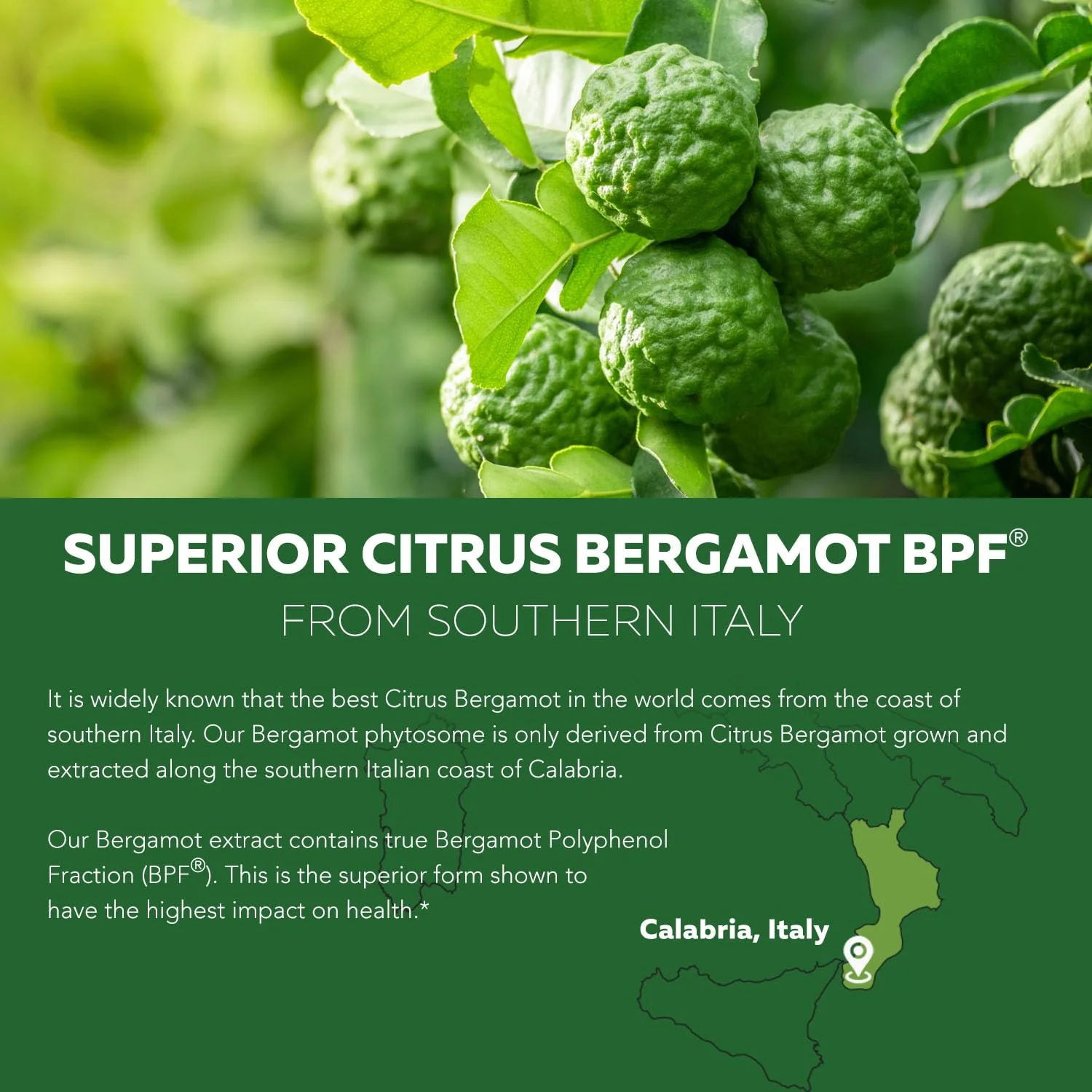 SoActive Bergamot: 2.5X More Effective, Italian Citrus Bergamot Phytosome - Clinically Validated | Enhanced with Grape Seed Extract - Supports Cholesterol & Weight Management (60 Capsules) - Image 2