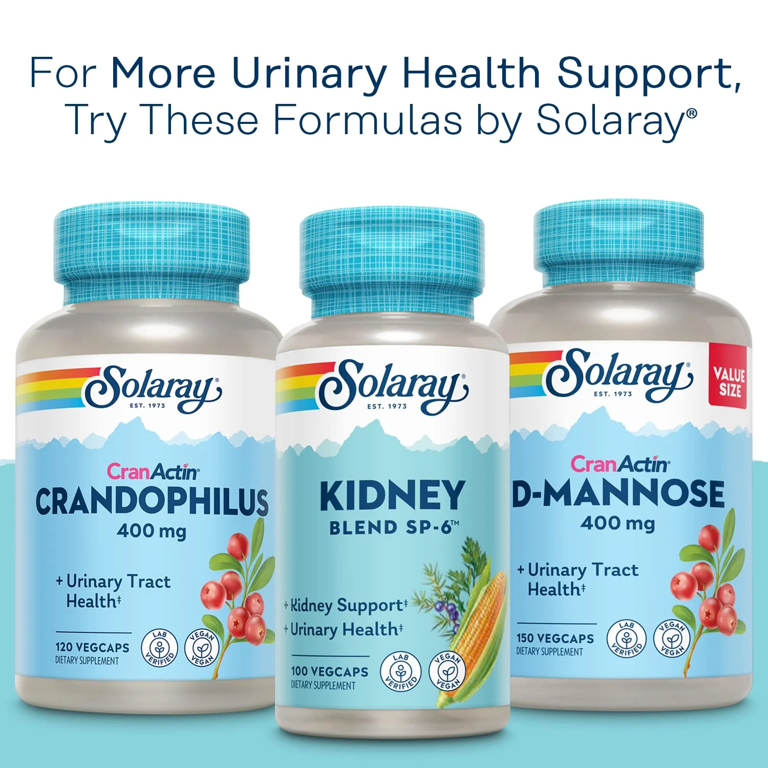 SOLARAY CranActin Cranberry Extract 400 mg - Cranberry Supplements for Women and Men - Bladder and Urinary Tract Health Support with Vitamin C - Vegan, 60-Day Guarantee, 120 Servings, 120 VegCaps - Image 2