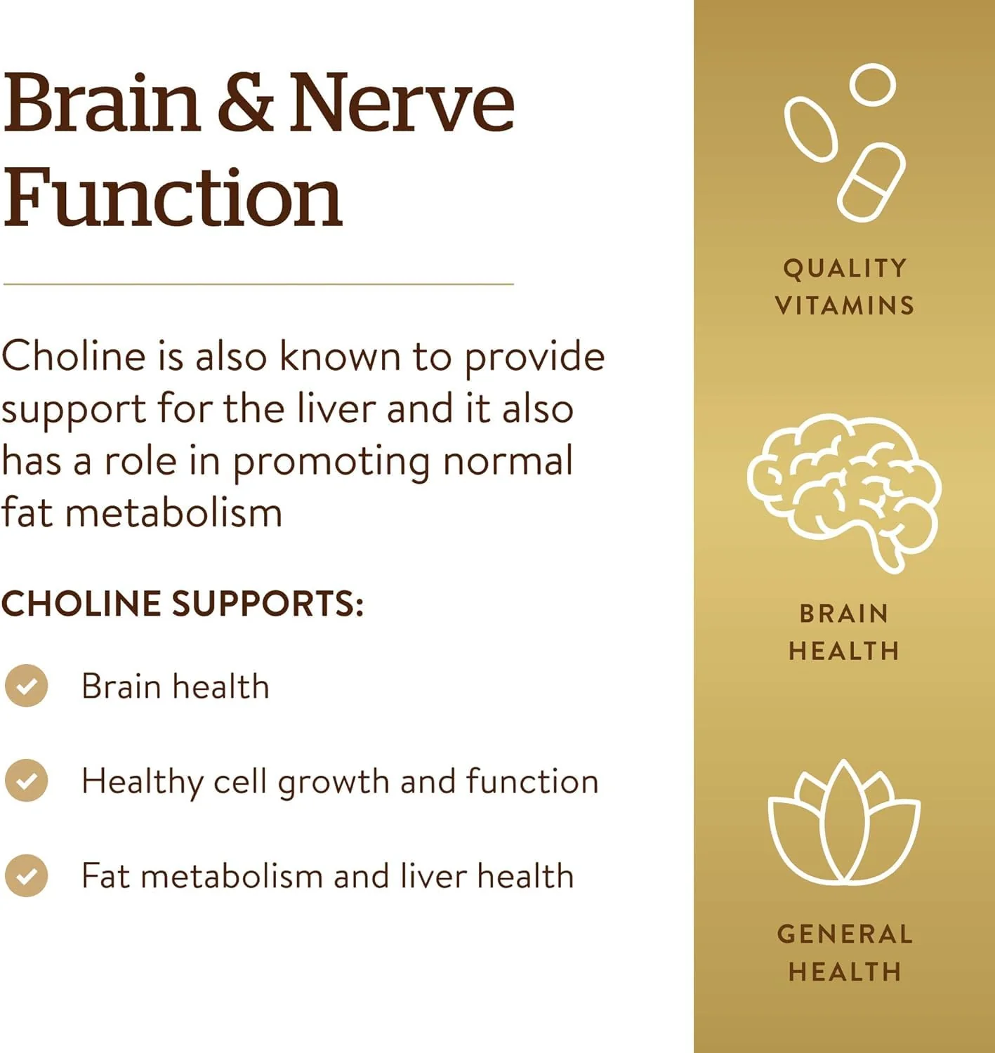 Solgar Choline 350 mg, 100 Vegetable Capsules - Supports Healthy Brain & Cellular Function - Vegan, Gluten Free, Dairy Free, Kosher - 100 Servings,(Pack of 2) - Image 6