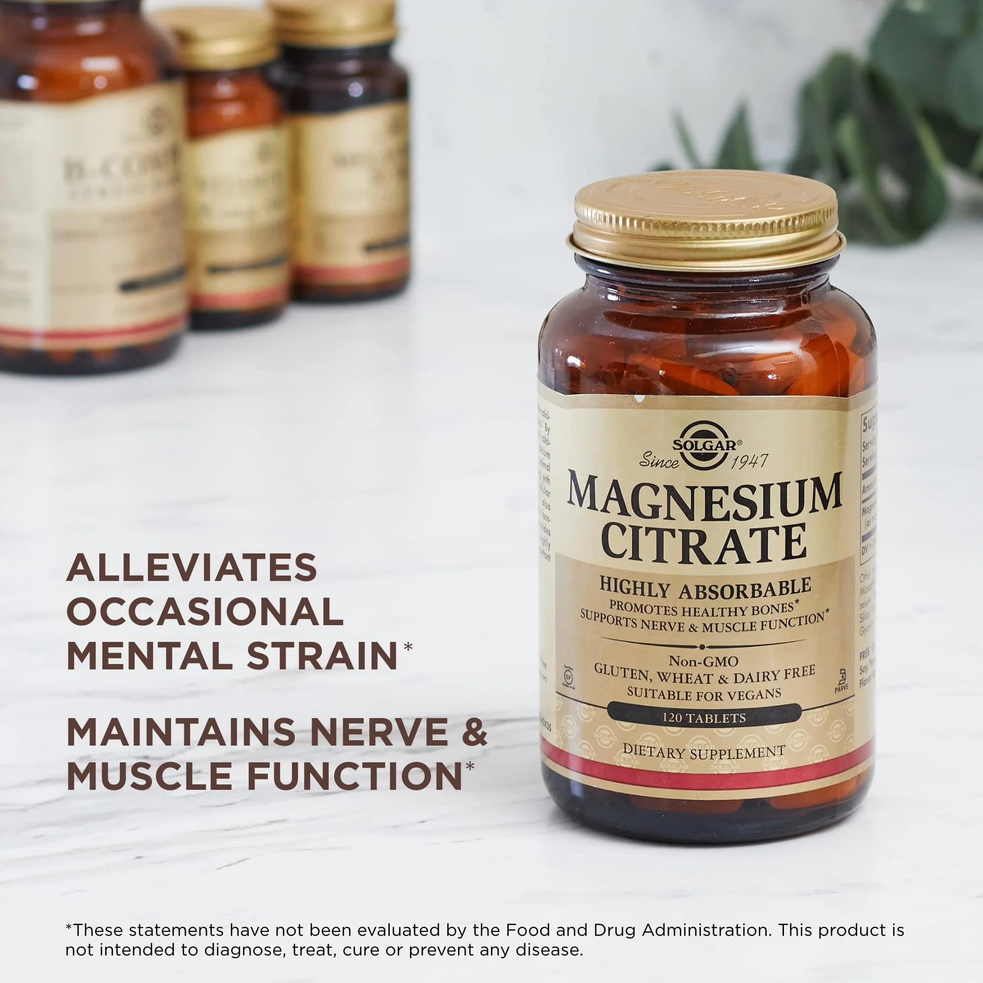 Solgar Magnesium Citrate - 120 Tablets, Pack of 2 - Promotes Healthy Bones, Supports Nerve & Muscle Function - Highly Absorbable - Non-GMO, Vegan, Gluten Free, Kosher - 120 Total Servings - Image 3