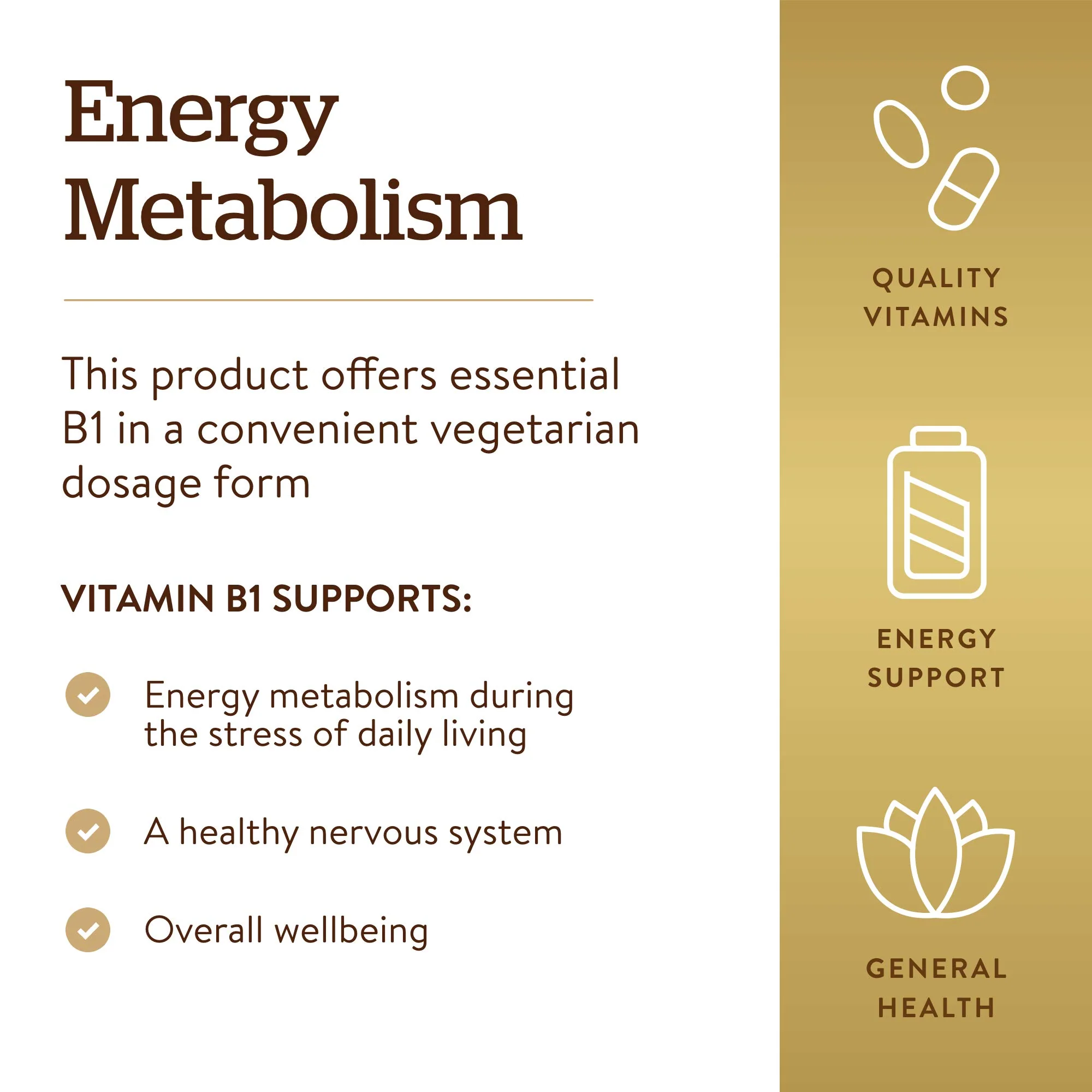 Solgar Vitamin B1 (Thiamin) 500 mg, 100 Tablets - Energy Metabolism, Healthy Nervous System, Overall Well-Being - Super Potency - Non-GMO, Vegan, Gluten Free, Dairy Free - 100 Servings - Image 4