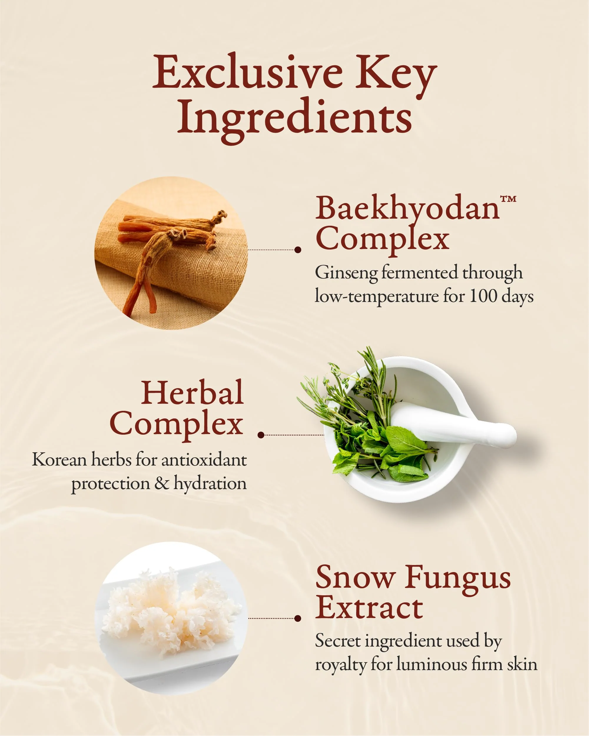 Sooryehan Hyobidam Fermented Travel Kit (Pack of 4) - Herbal korean skincare set with Toner, Emulsion, Cream & Cleansing Foam, featuring Baekhyodan™ & Silver Mushroom. for hydration & elasticity. - Image 6