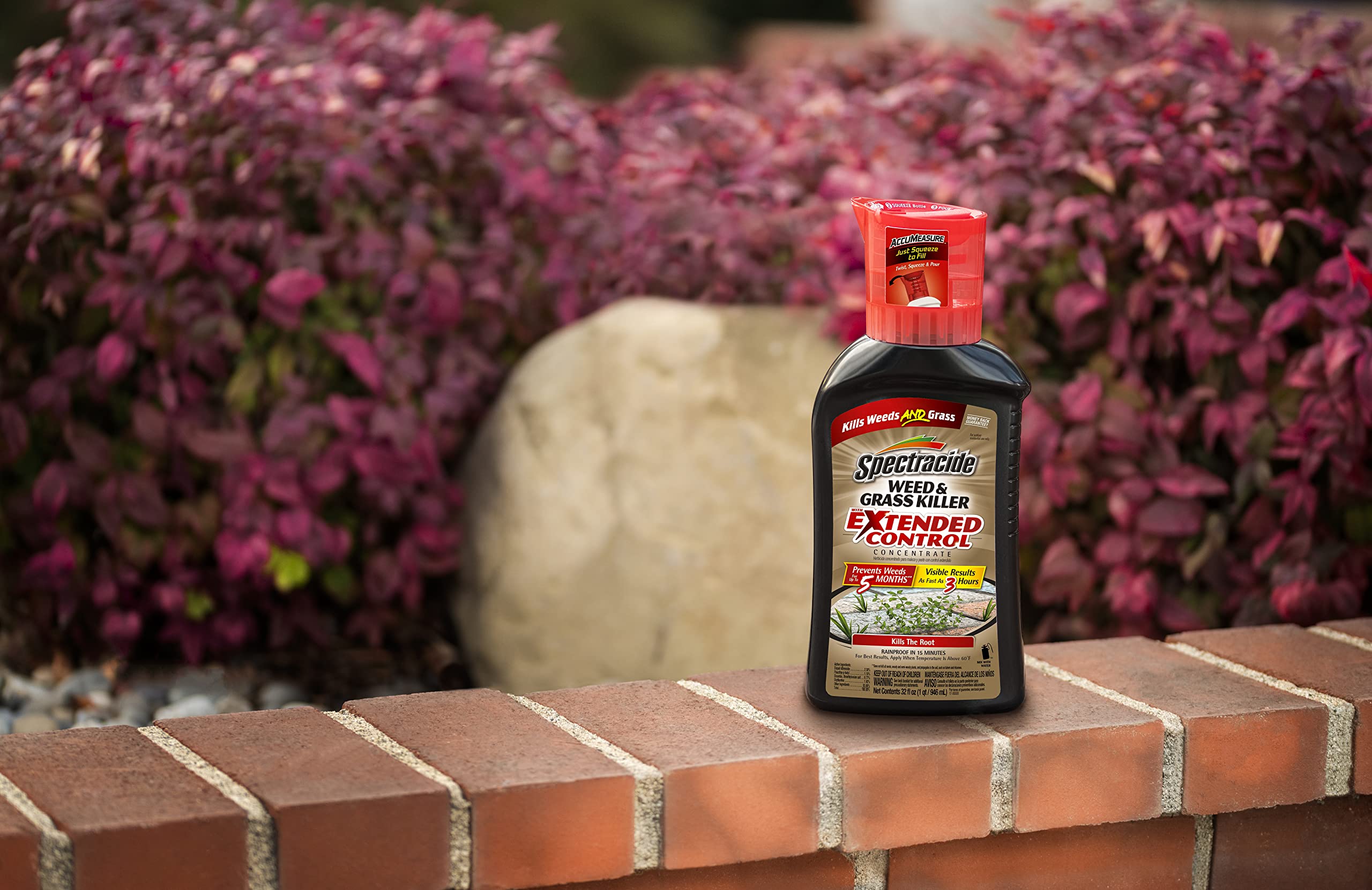 Spectracide Weed and Grass Killer with Extended Control Concentrate, 32 Ounces, with Accumeasure System - Image 4