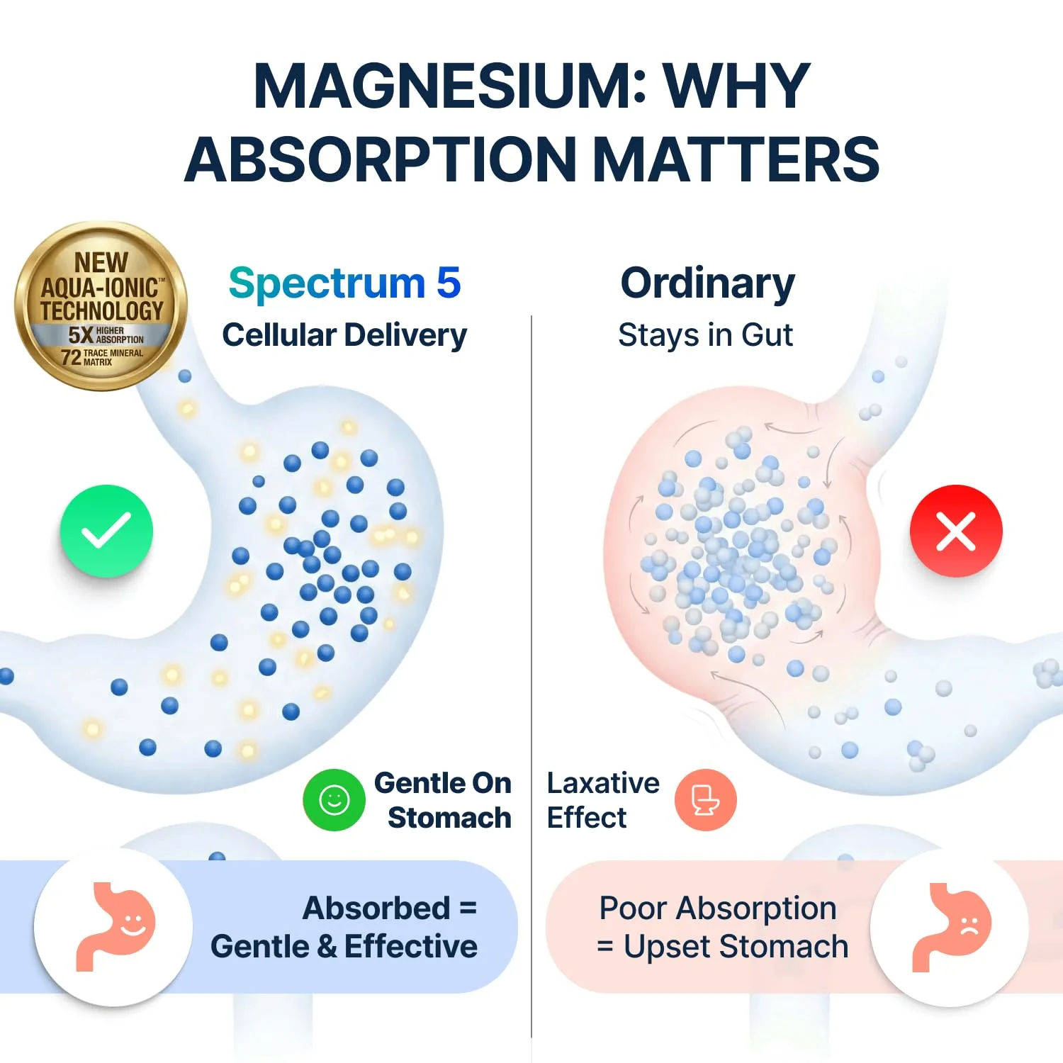 Spectrum 5 Magnesium Complex for Women & Men | Patented Aqua-Ionic® 5X Absorption Technology | 500mg Glycinate, Citrate, Malate + 72 Trace Minerals | Deep Sleep, Leg Cramp Relief & Calm | Non-Laxative - Image 7