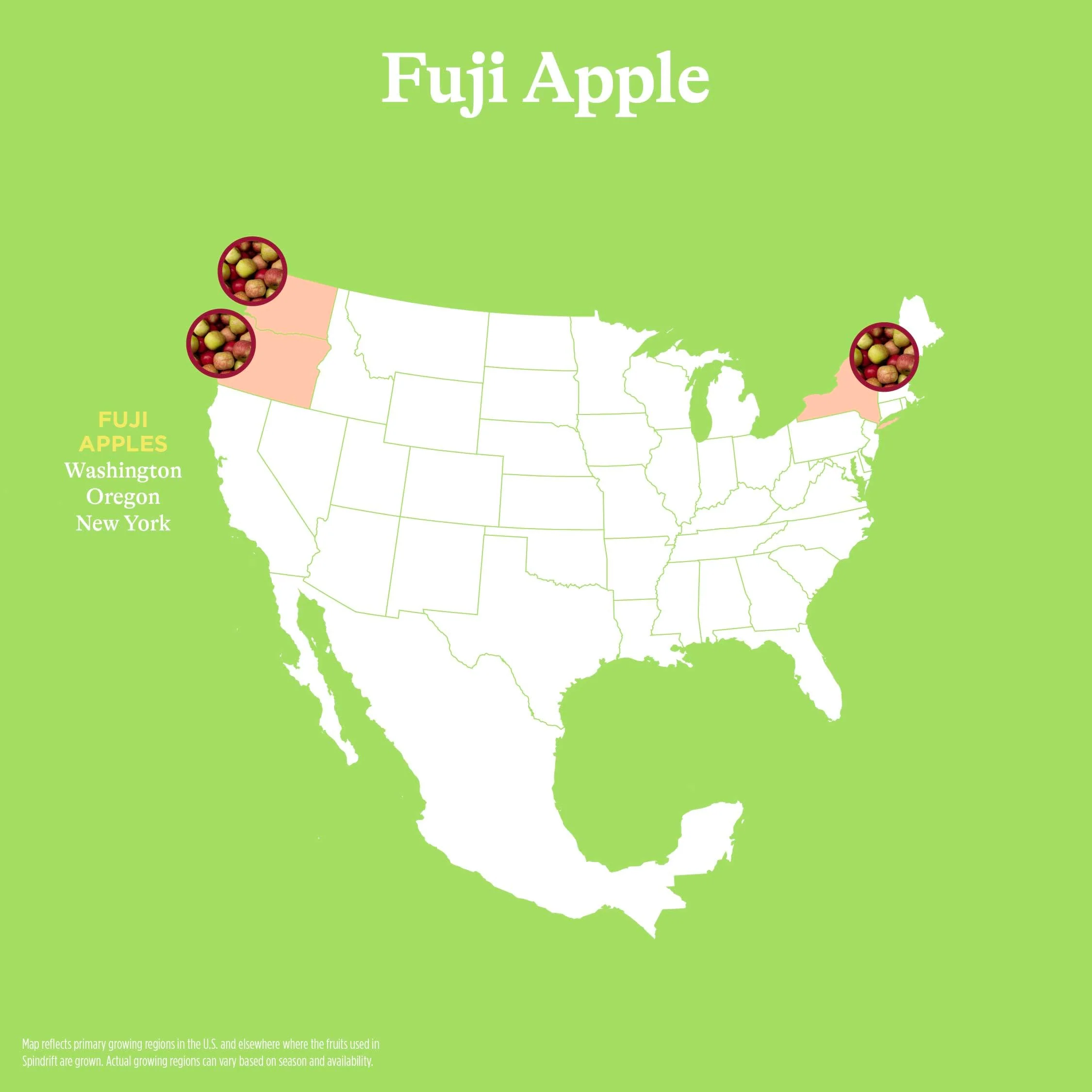 Spindrift Fuji Apple Can 12 Ounce (Pack of 24) - Image 3