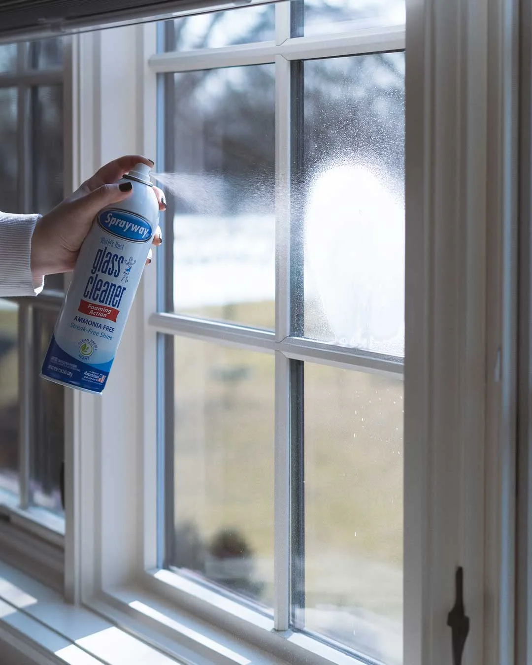 Sprayway Glass Cleaner with Foaming Spray for a Streak-Free Shine for Home and Automotive Use, 19 oz., Pack of 12 - Image 3